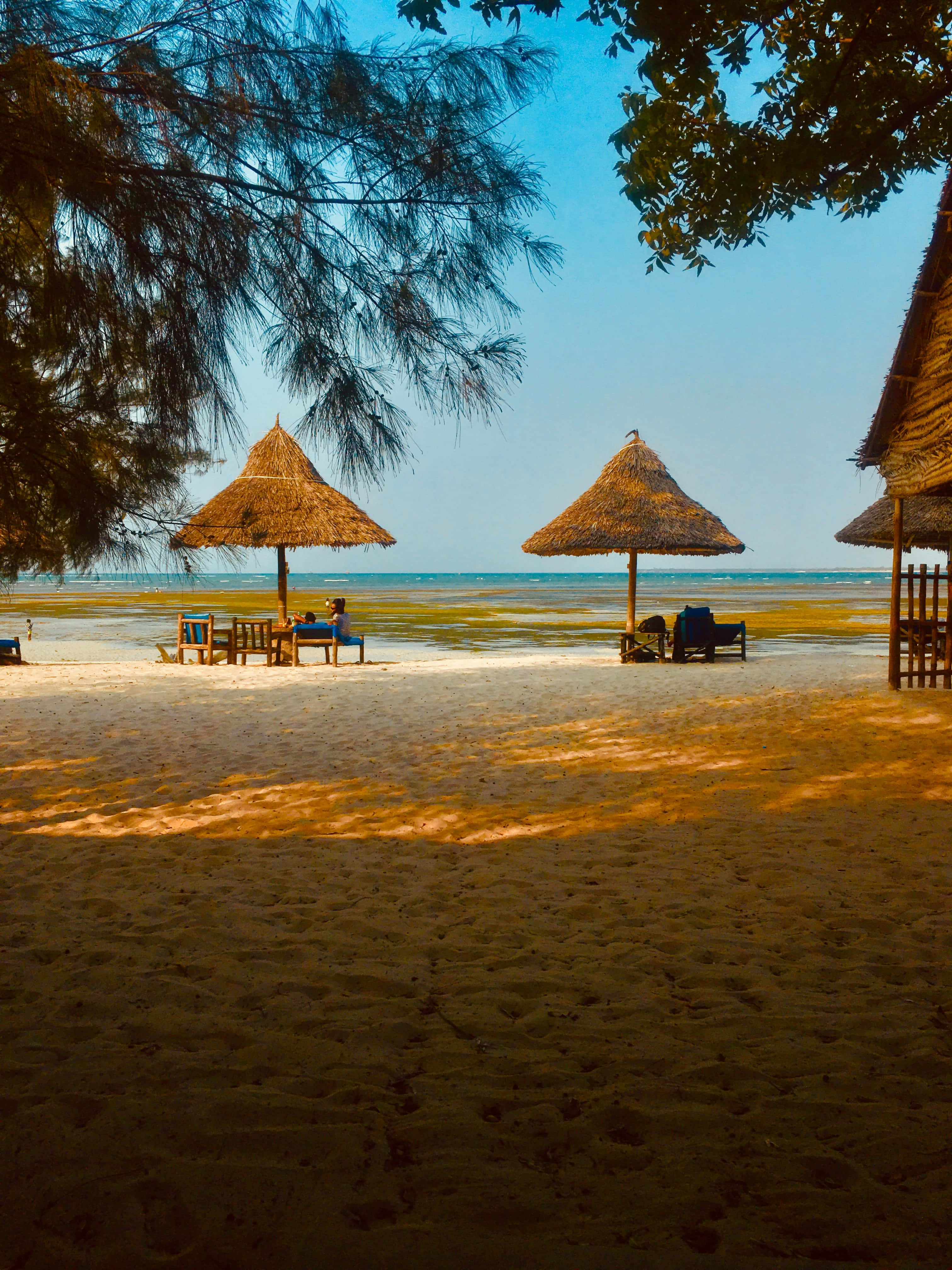 beach huts, golden sand beach, thatched umbrellas, 4K Phone Wallpaper