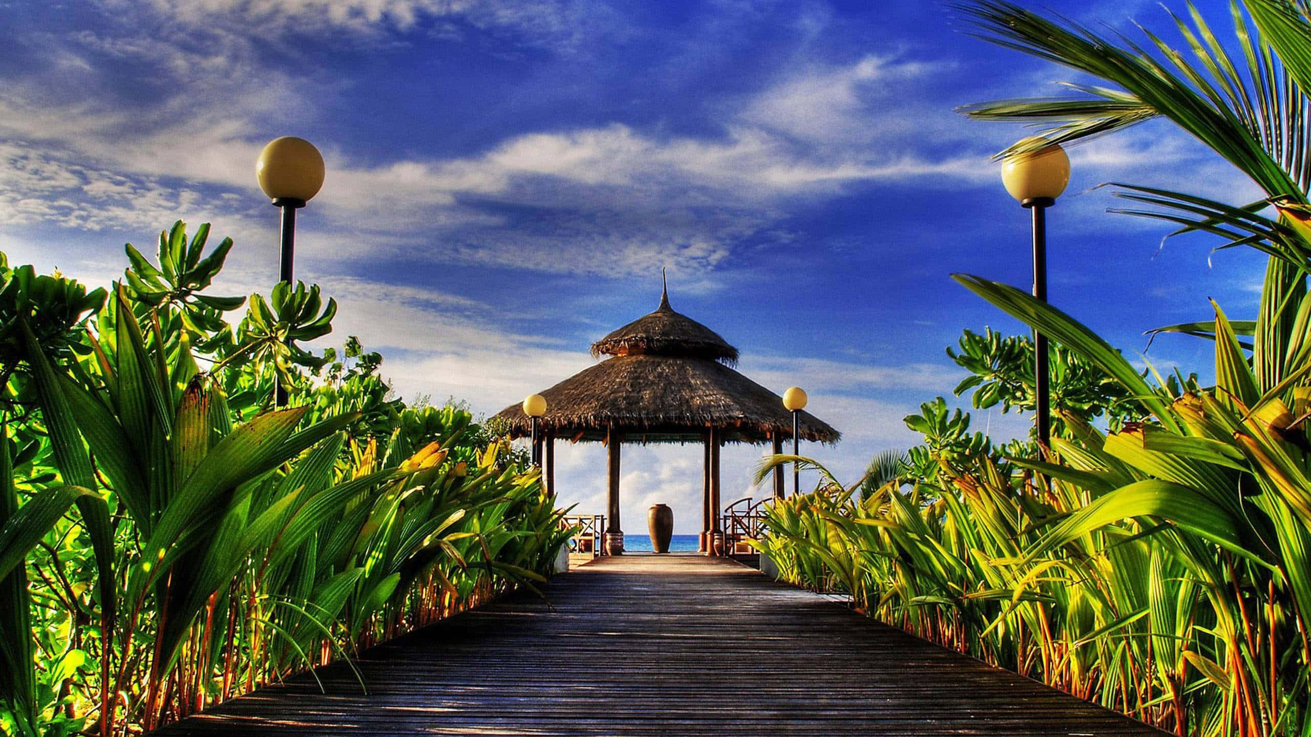 wooden walkway, lush green palms, thatched-roof gazebo, 2K Desktop Wallpaper