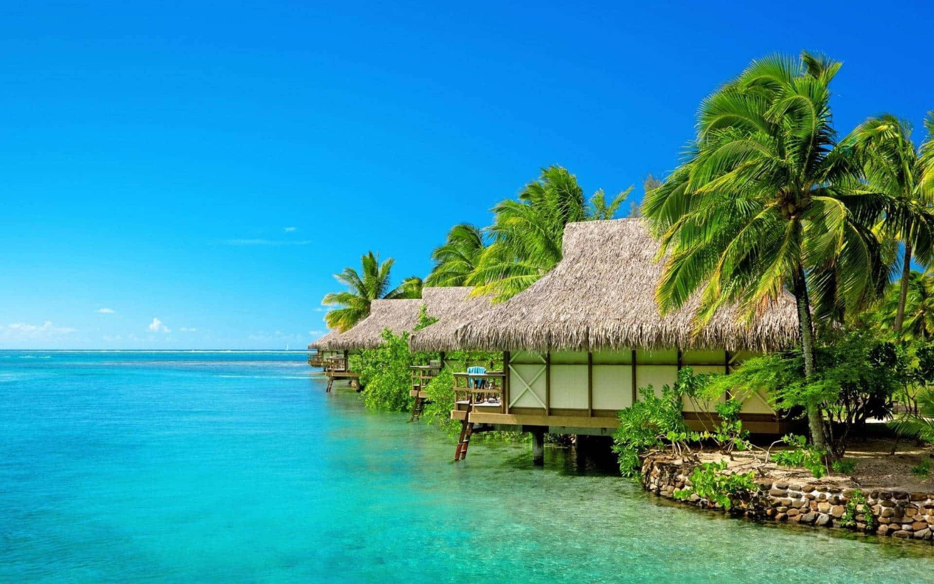 beach huts, thatched roofs, palm trees, Full HD Desktop Wallpaper