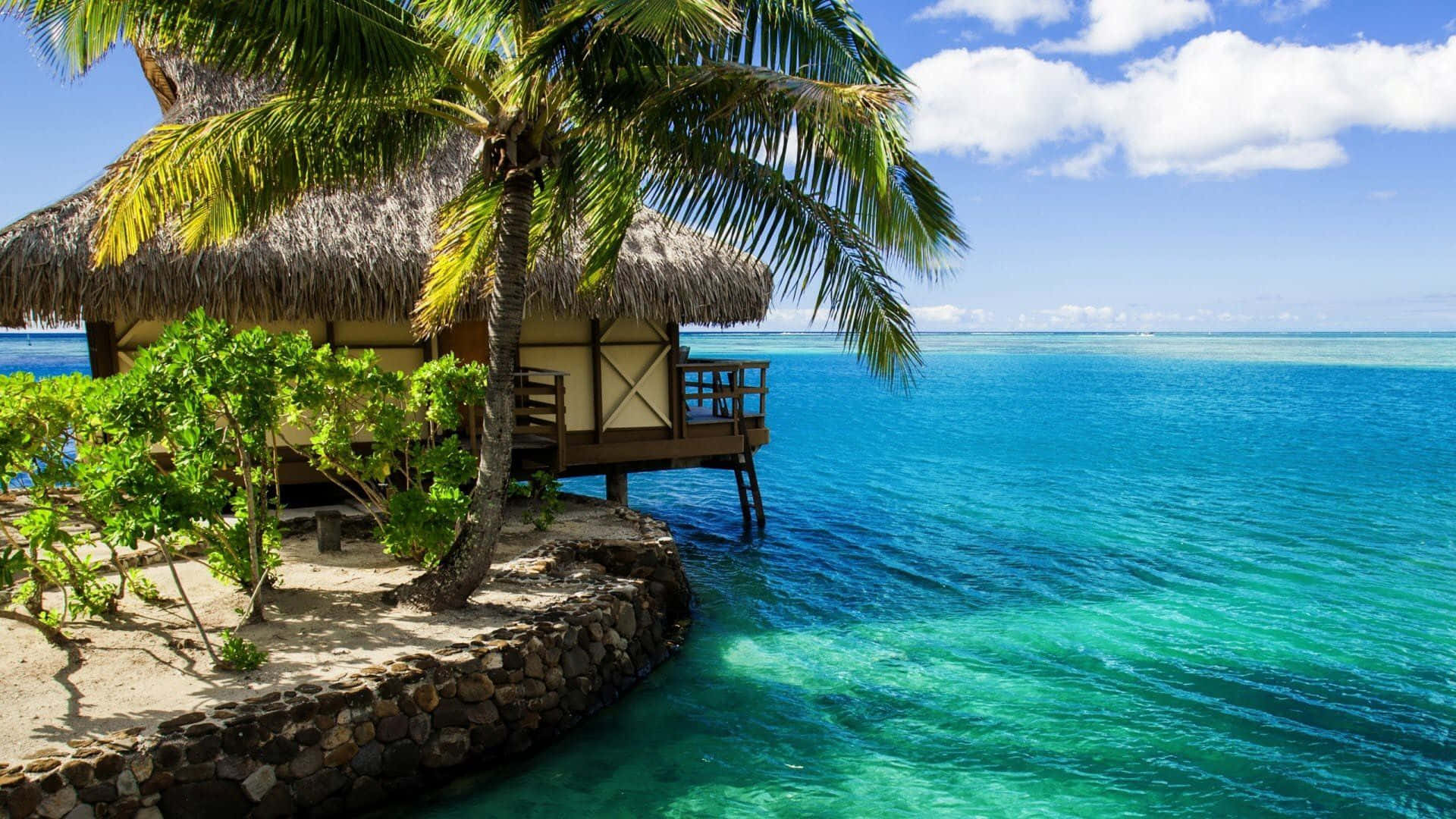 thatched-roof overwater bungalow, palm trees, turquoise ocean waters, Full HD Desktop Wallpaper