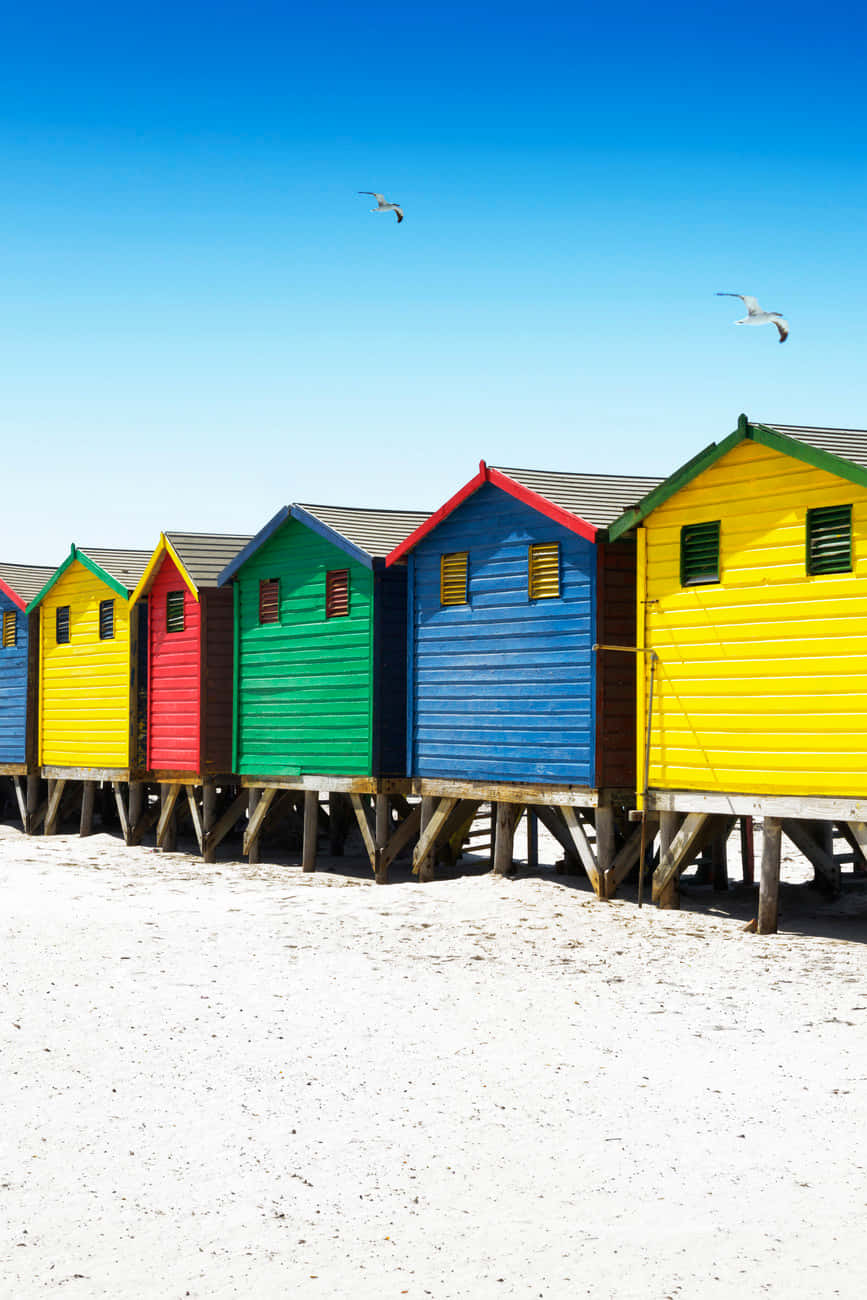 beach huts, rainbow-colored, wooden stilts, HD Phone Wallpaper