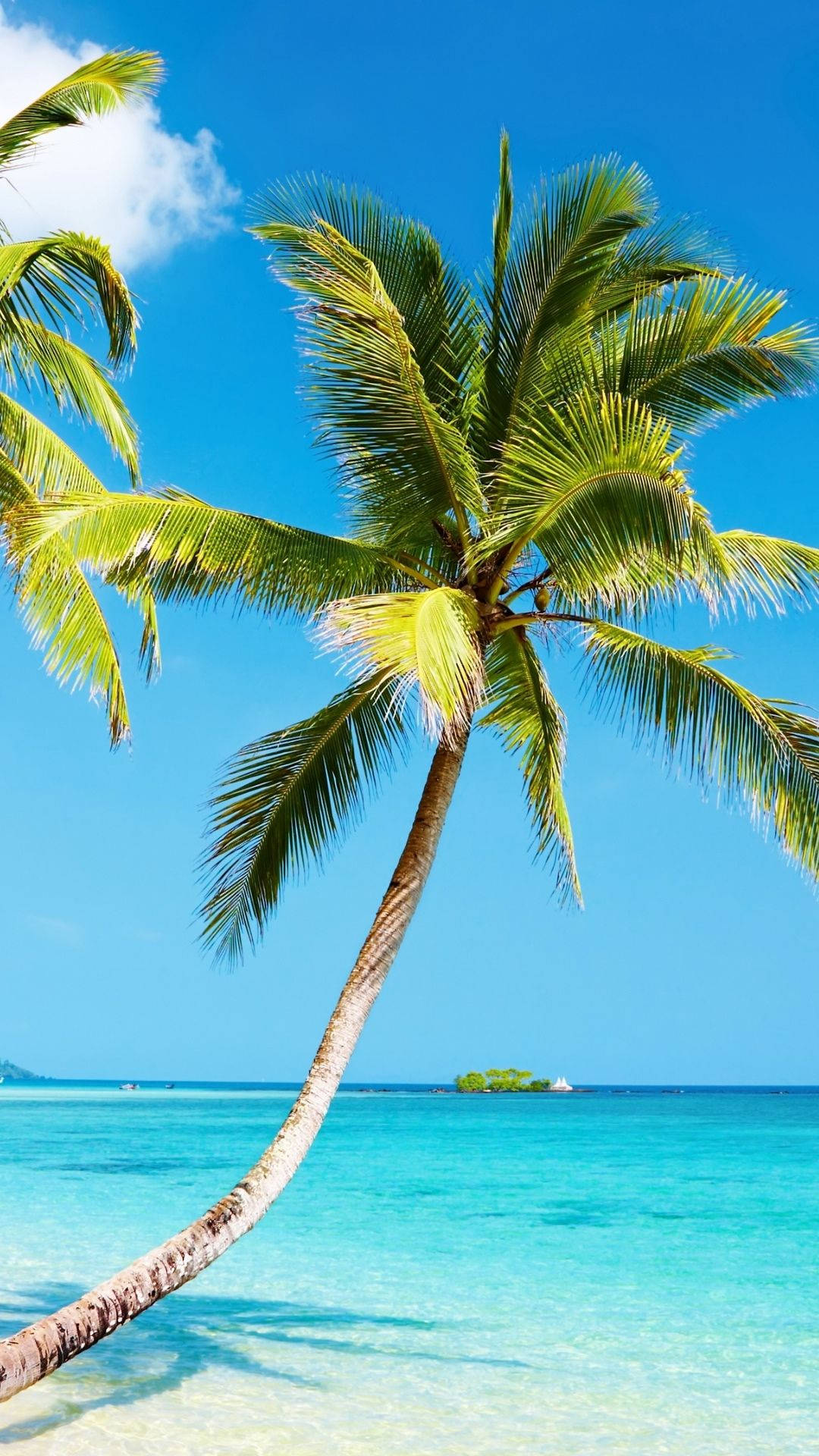 iPhone, coconut tree, beach, Full HD Phone Wallpaper