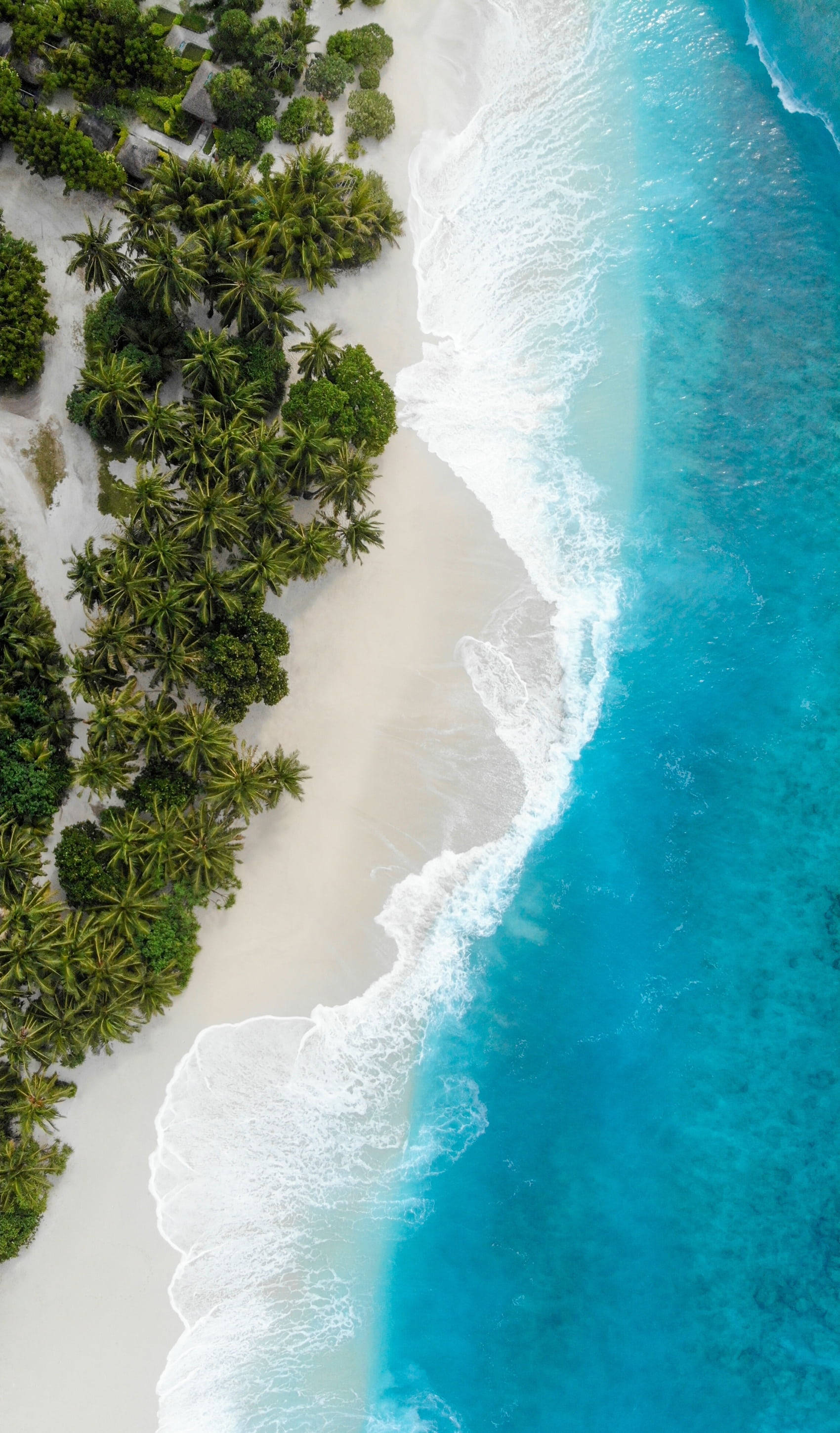 overhead beach wave iphone, tropical beach, white sand, 2K Phone Wallpaper