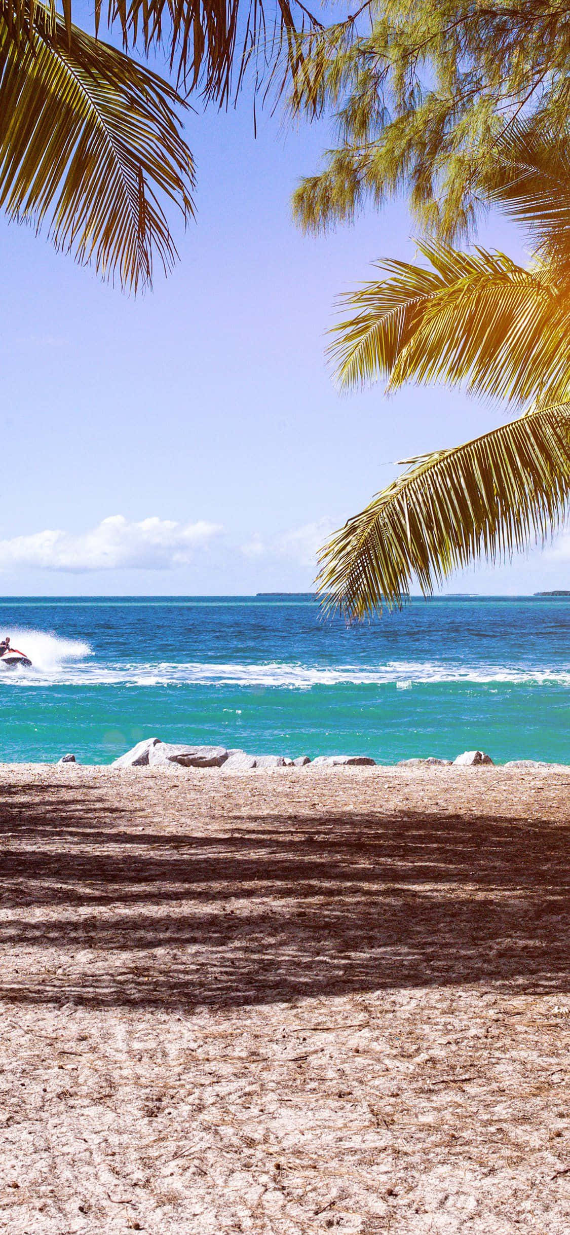 Palm fronds, sunlit beach, turquoise waves, Full HD Phone Wallpaper