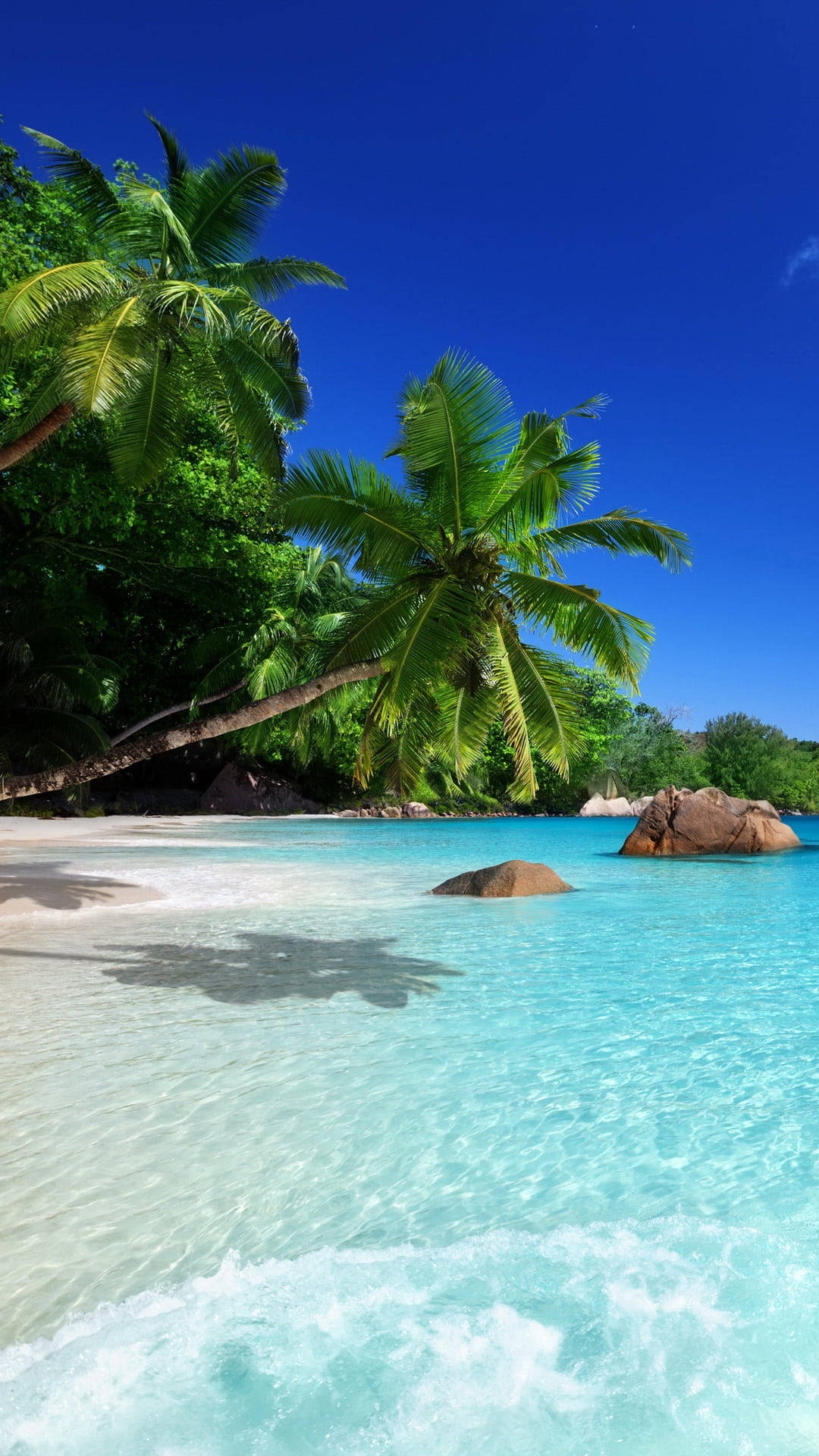 iPhone 7, palm trees, turquoise waters, Full HD Phone Wallpaper