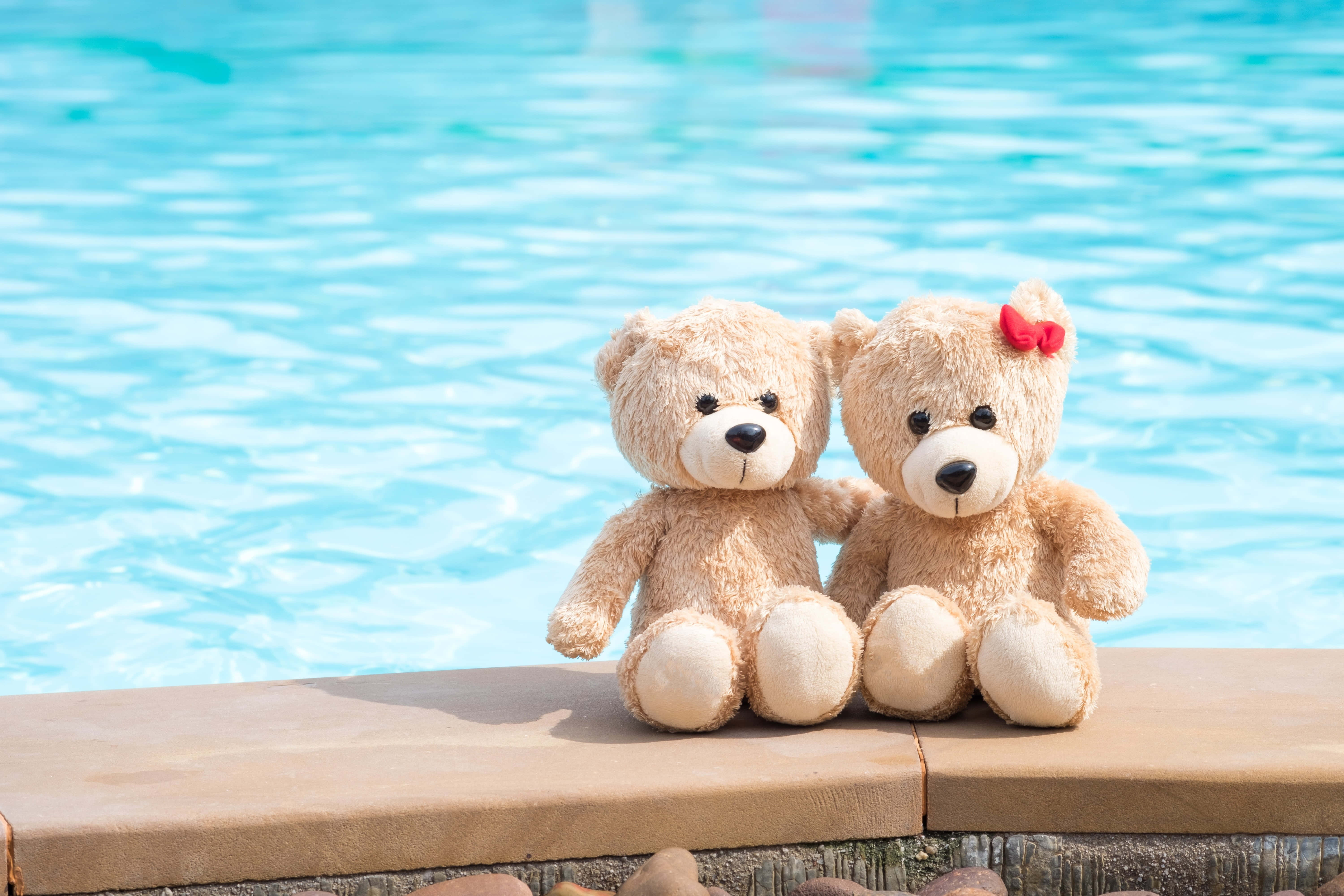 Beach Lovers, teddy bears, pool edge, 5K Desktop Wallpaper