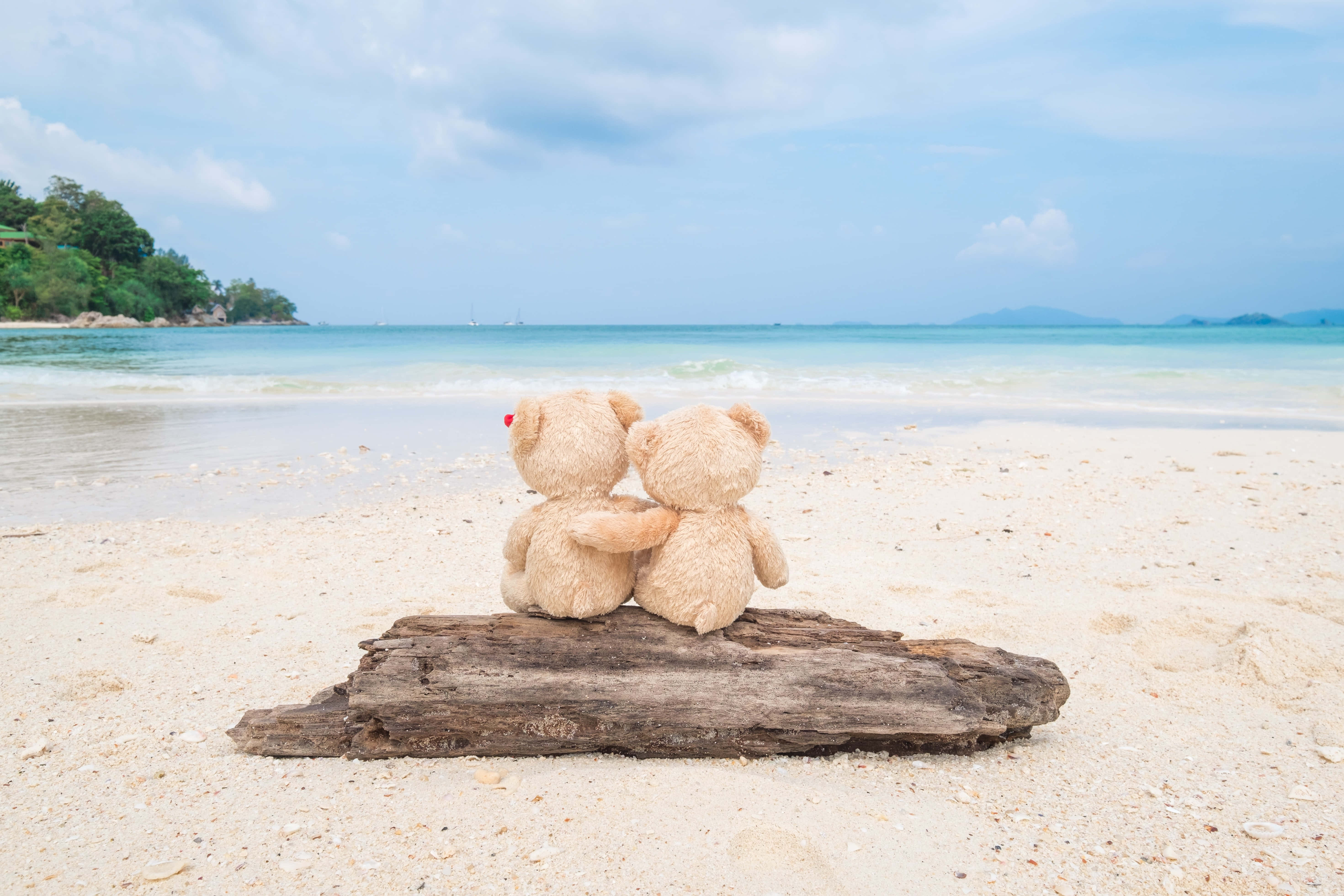 beach lovers, teddy bears, driftwood log, 5K Desktop Wallpaper