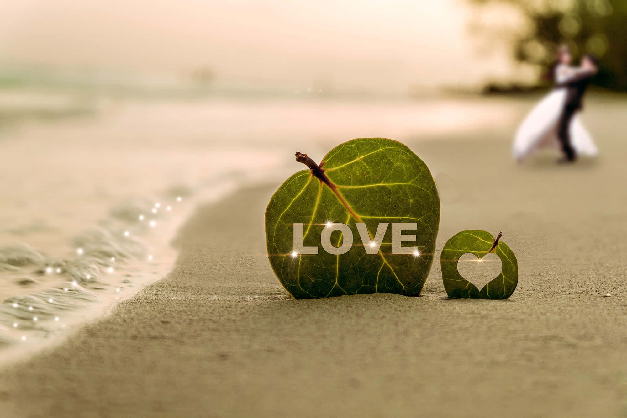 beach love 2000, sandy beach, golden hour, Full HD Desktop Wallpaper