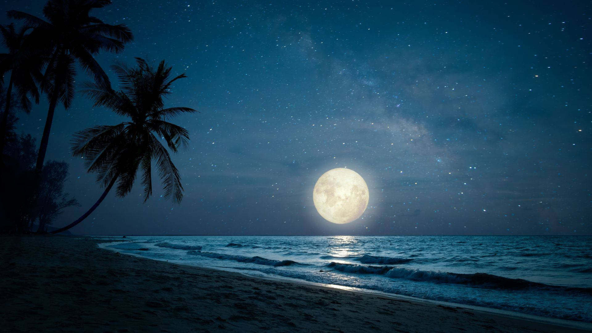 Moonlight Beach Night View, full moon, ocean, Full HD Desktop Wallpaper