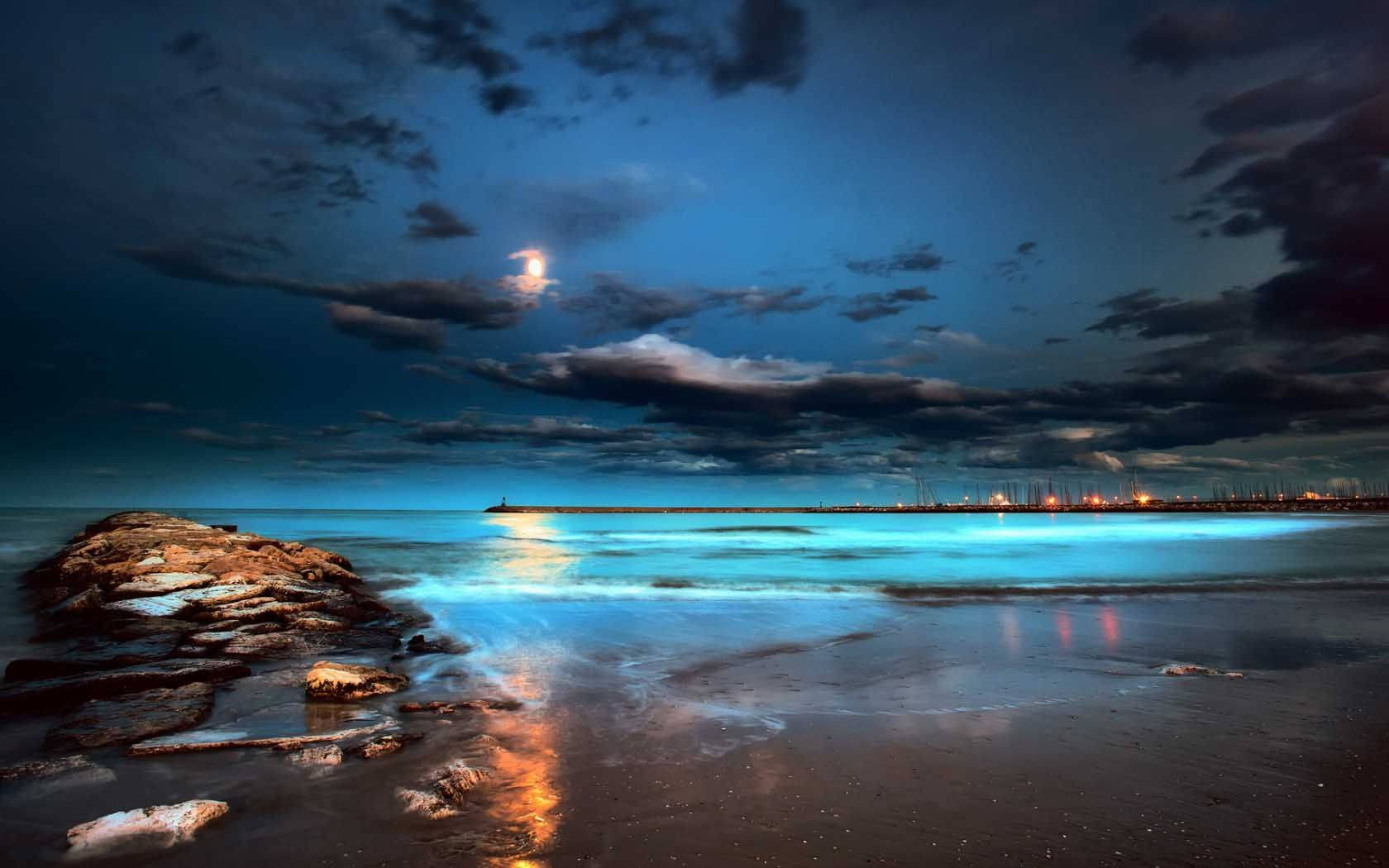 Beach Night, glowing sea water, moonlight, HD Desktop Wallpaper