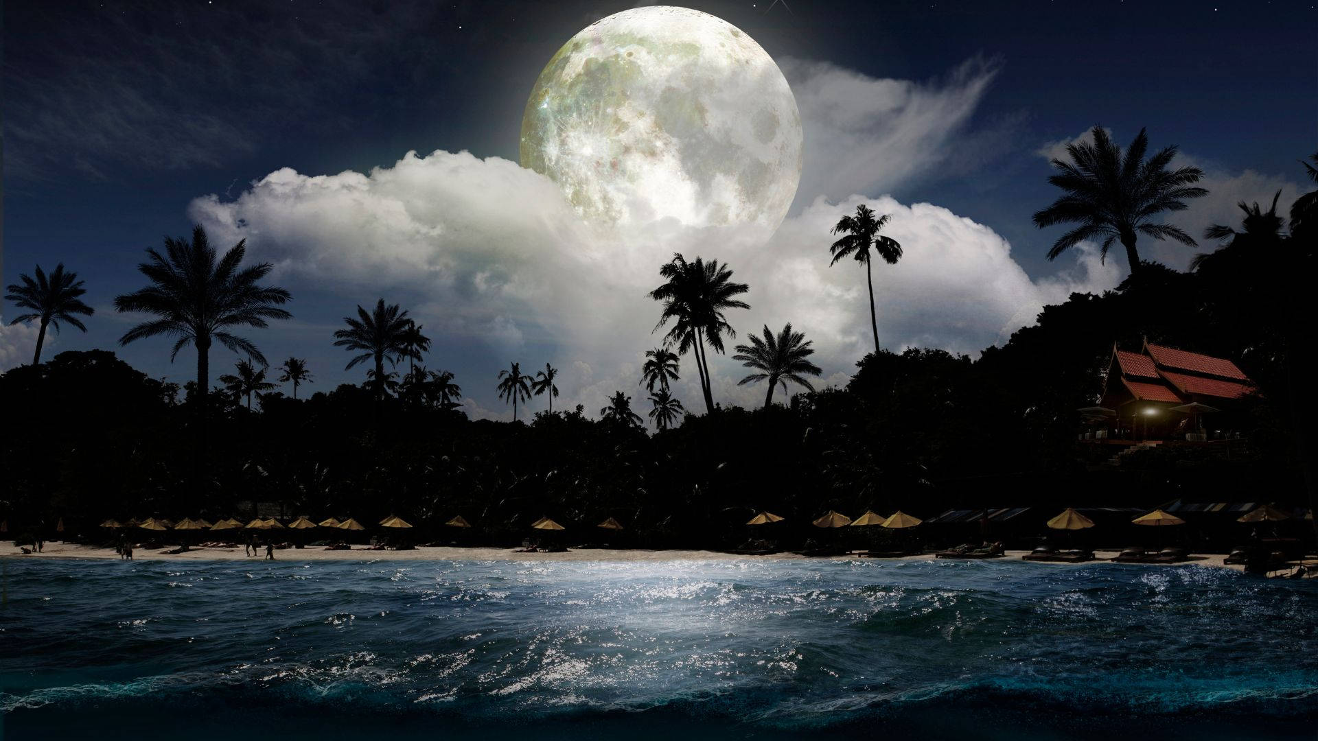 glowing moon, tropical beach, palm trees, Full HD Desktop Wallpaper