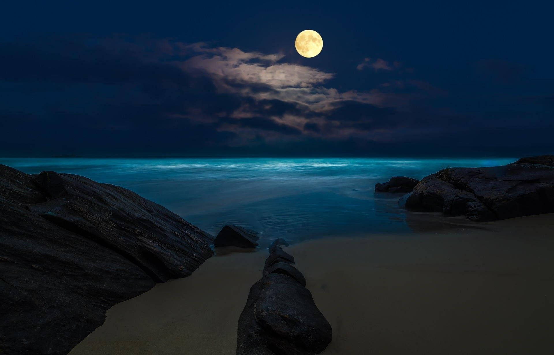 Beach Night, full moon, tranquil beach, Full HD Desktop Wallpaper