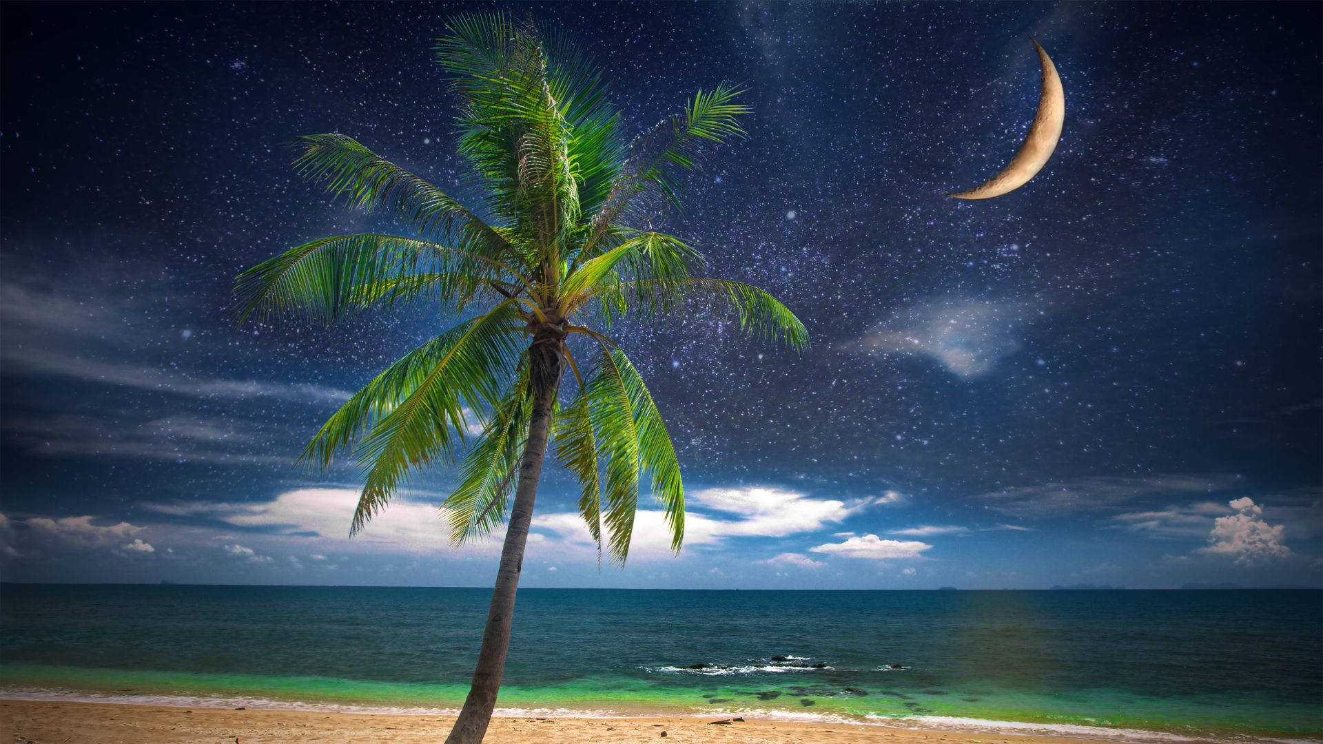 Beach Night, tropical beach, full moon, Full HD Desktop Wallpaper