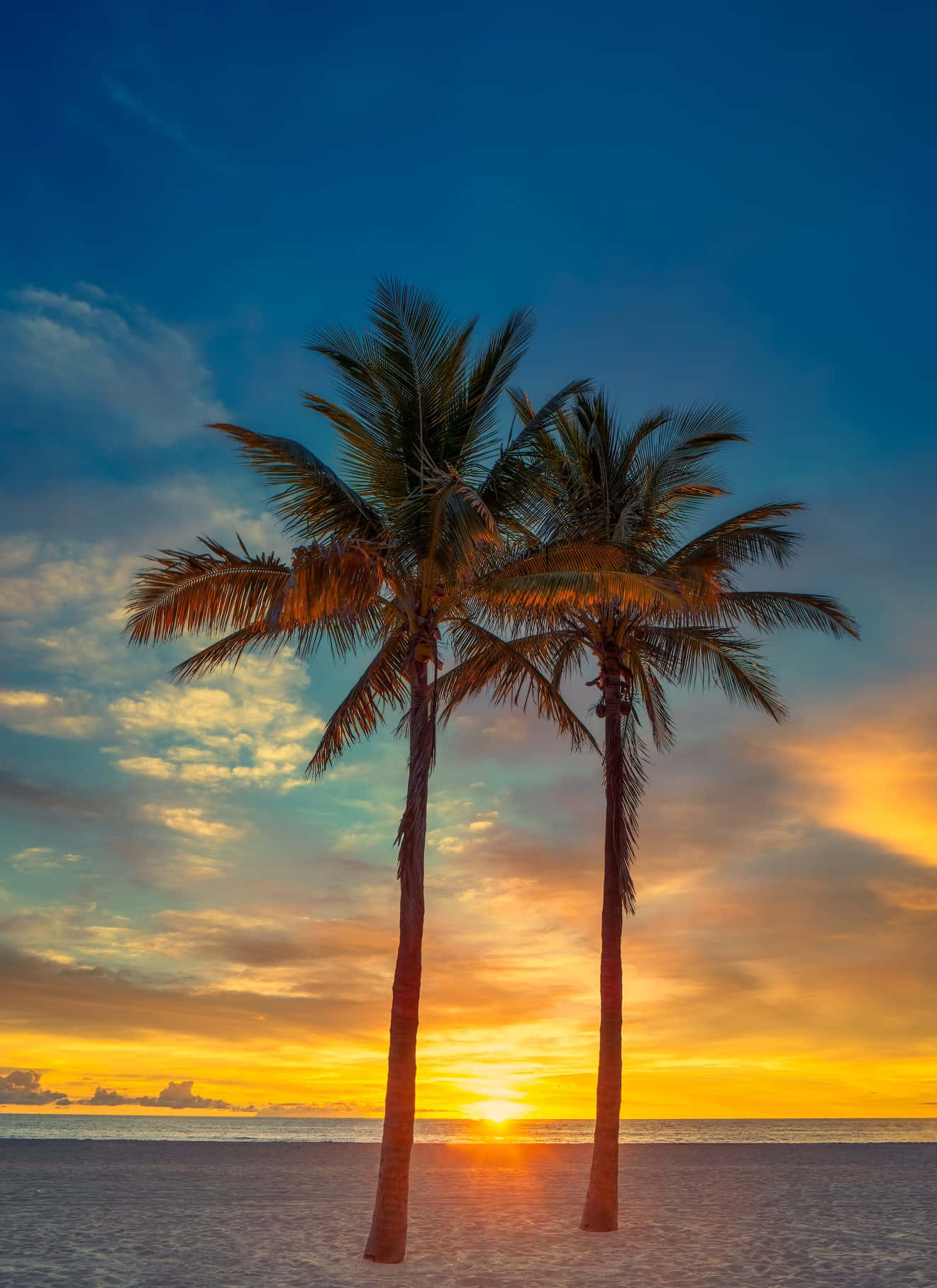 beach palm trees, tranquil beach, palm trees, HD Phone Wallpaper