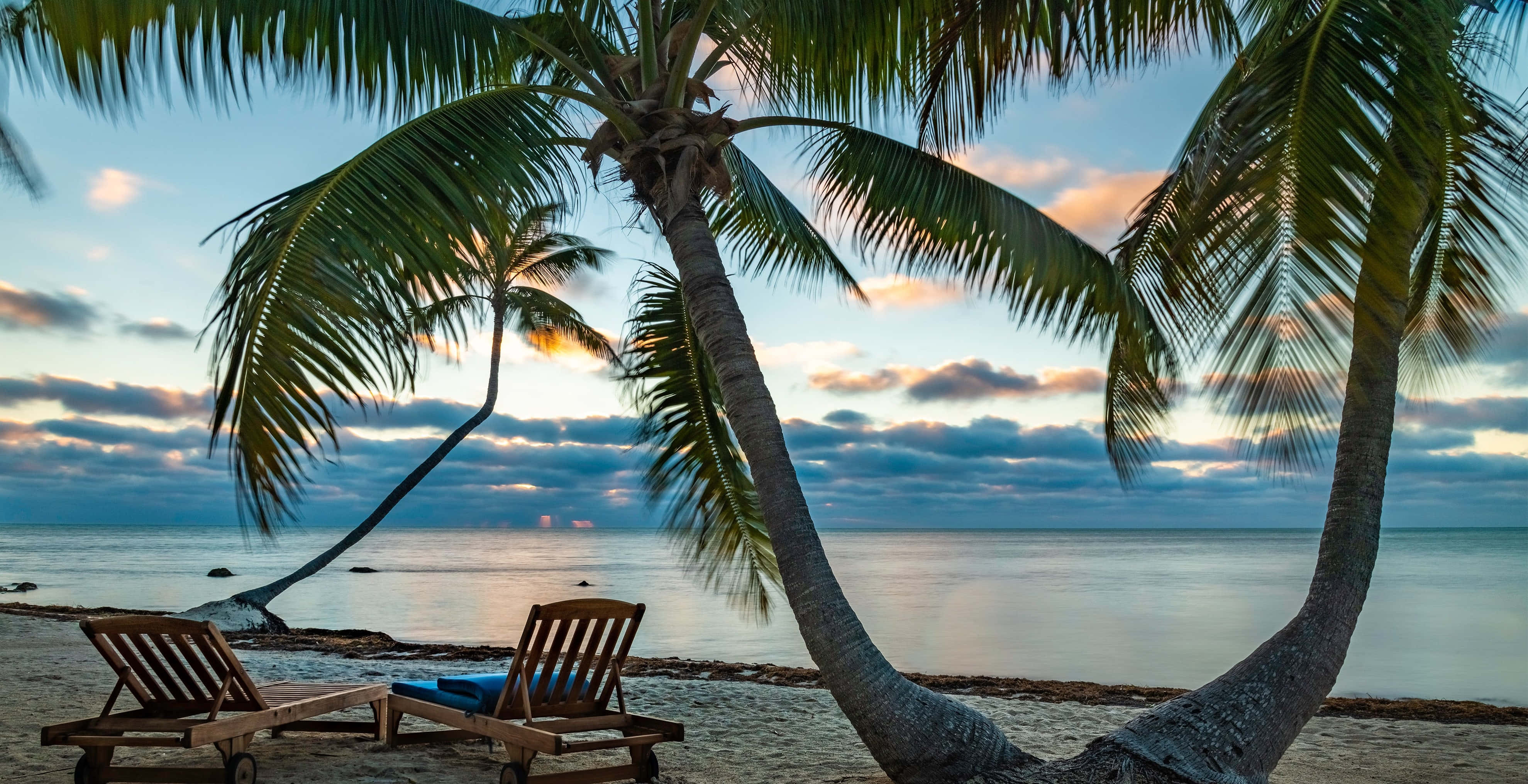 beach palm trees, sunset, swaying palm trees, 4K Desktop Wallpaper