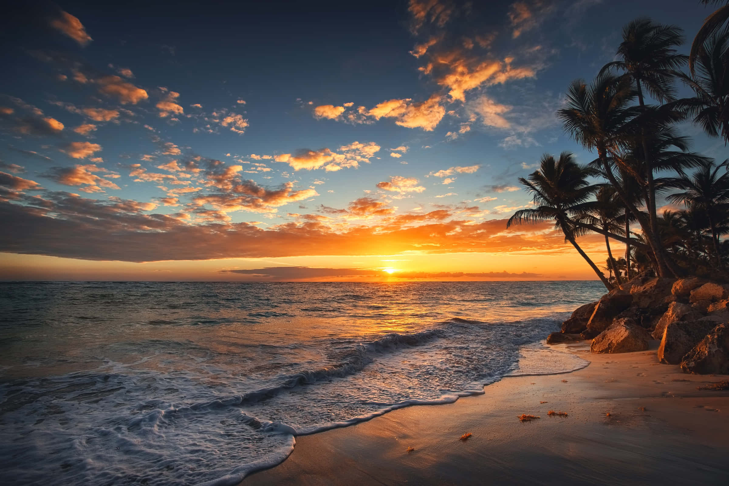beach palm trees, golden sunset, sandy beach, Full HD Desktop Wallpaper
