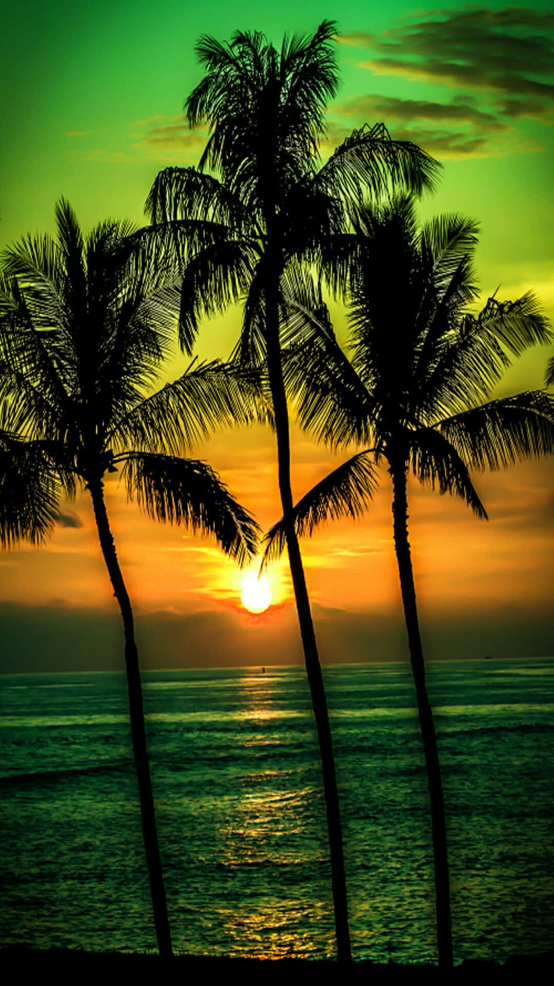 Beach Palm Trees, palm trees, sunset, Full HD Phone Wallpaper