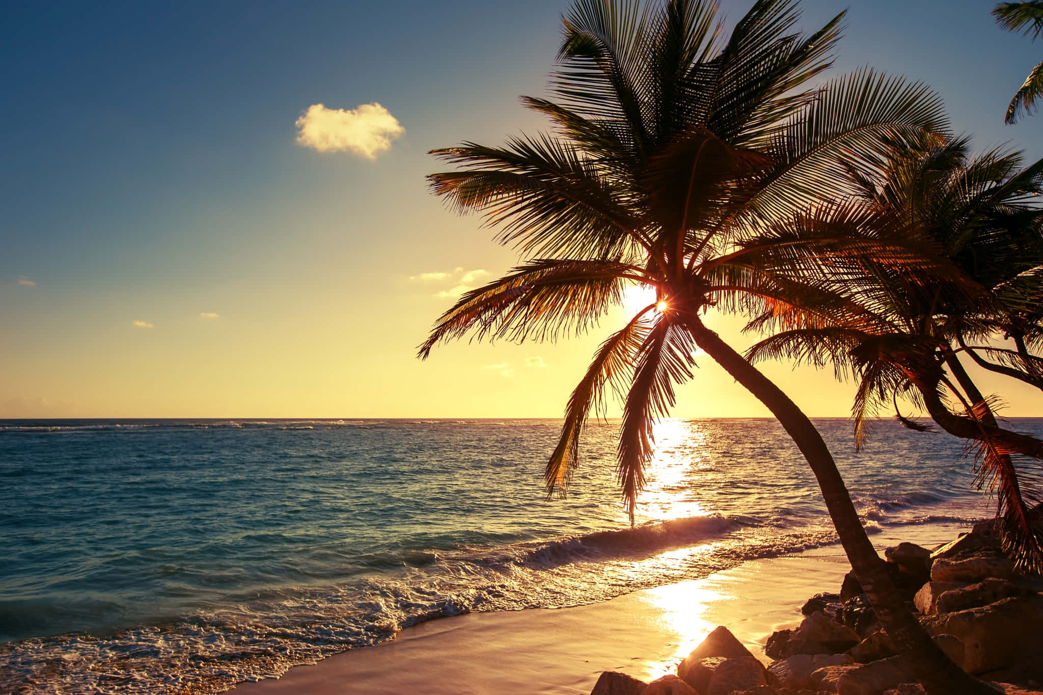 Beach Palm Trees, Sunset, palm trees, Full HD Desktop Wallpaper