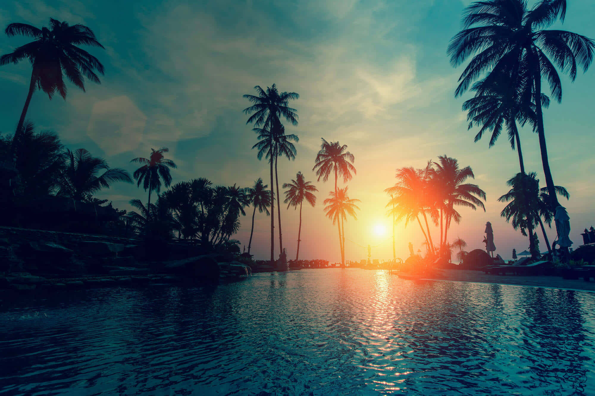 Beach Palm Trees, Sunset, palm silhouettes, Full HD Desktop Wallpaper