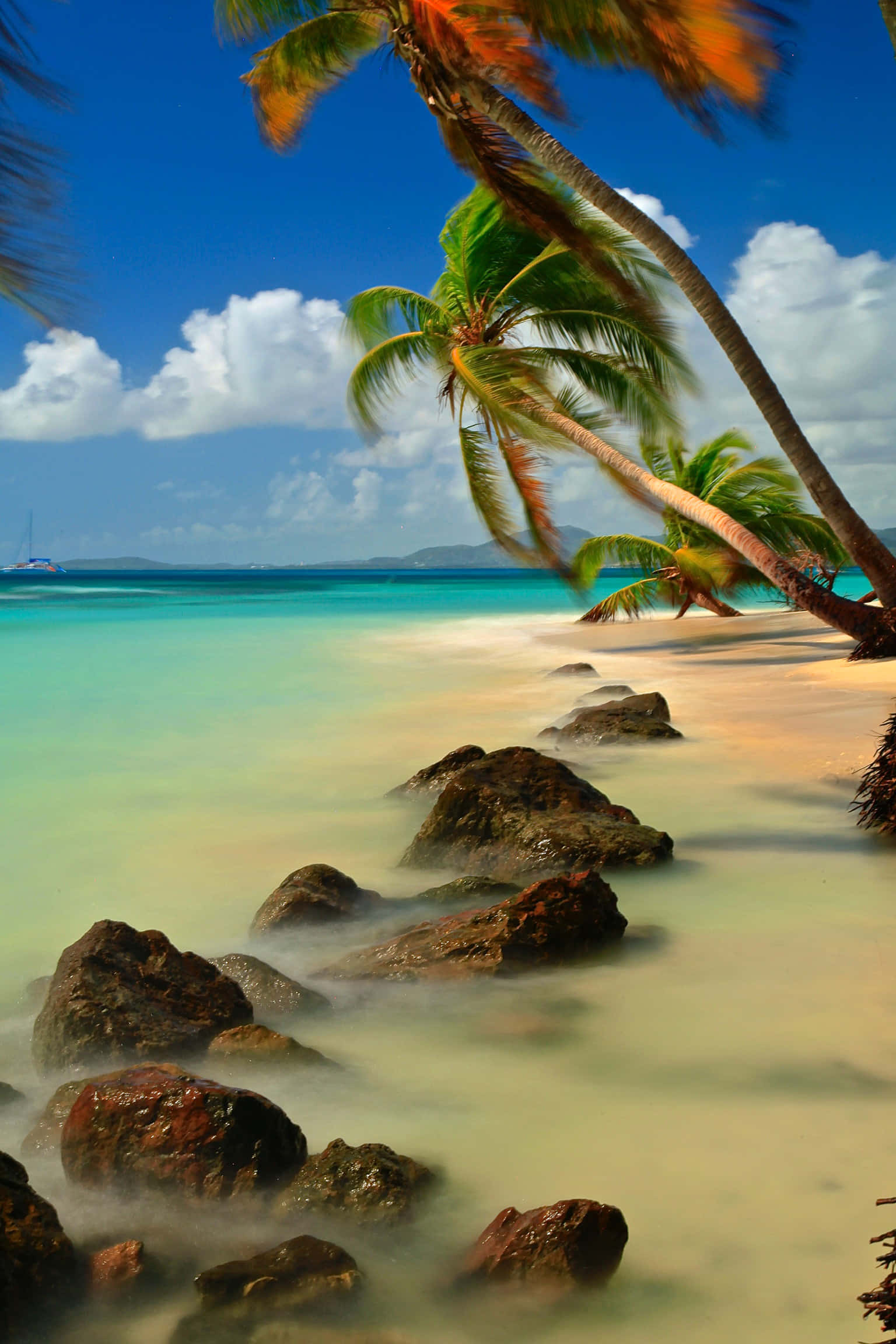 Beach Palm Trees, tropical beach, palm trees, Full HD Phone Wallpaper