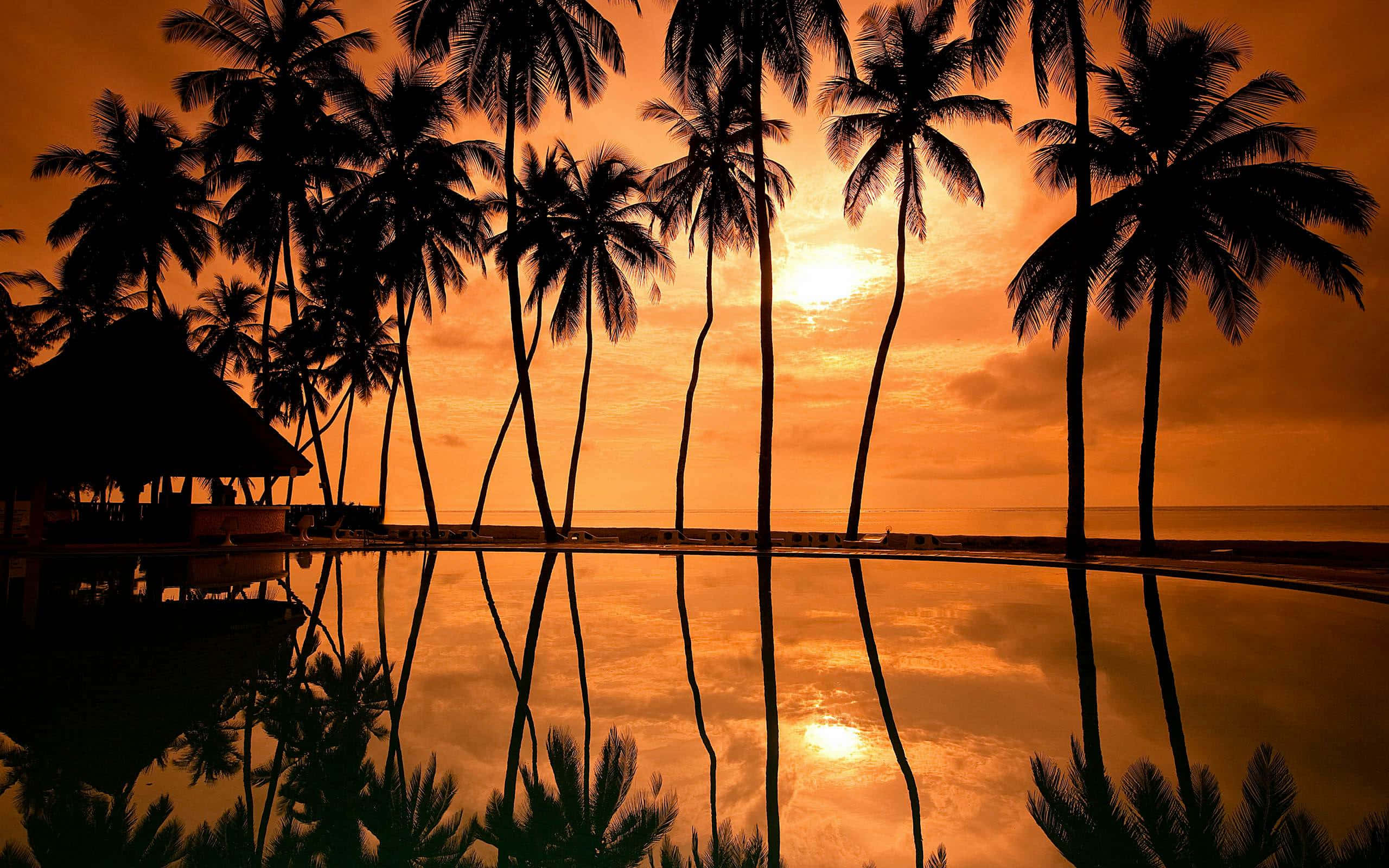 beach palm trees, glowing orange sunset, tranquil infinity pool, 2K Desktop Wallpaper