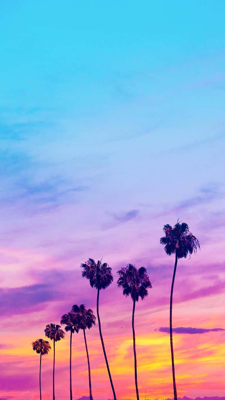 pastel beach, palm trees, sunset, HD Phone Wallpaper