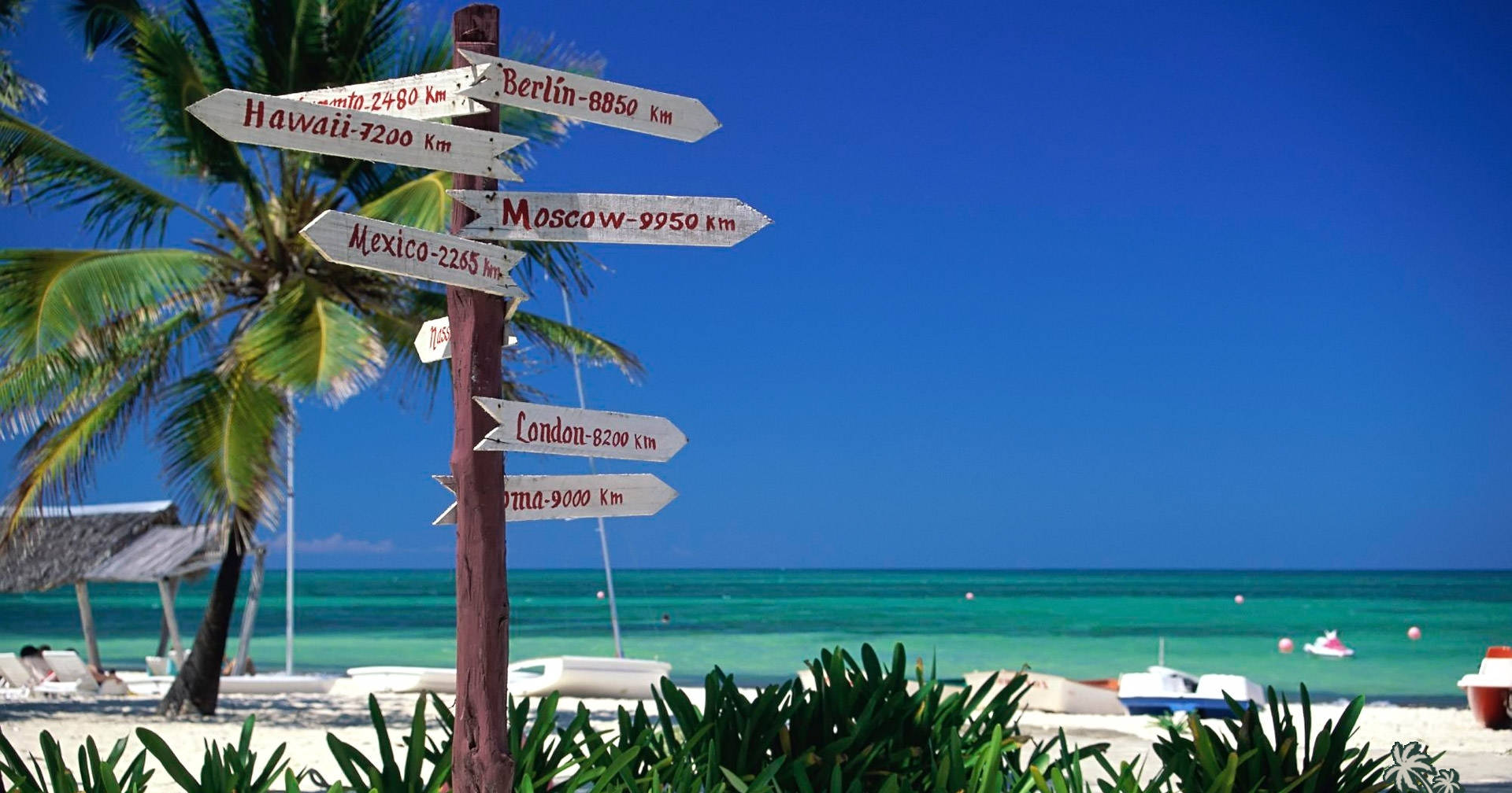 palm tree, beach, wooden signpost, Full HD Desktop Wallpaper