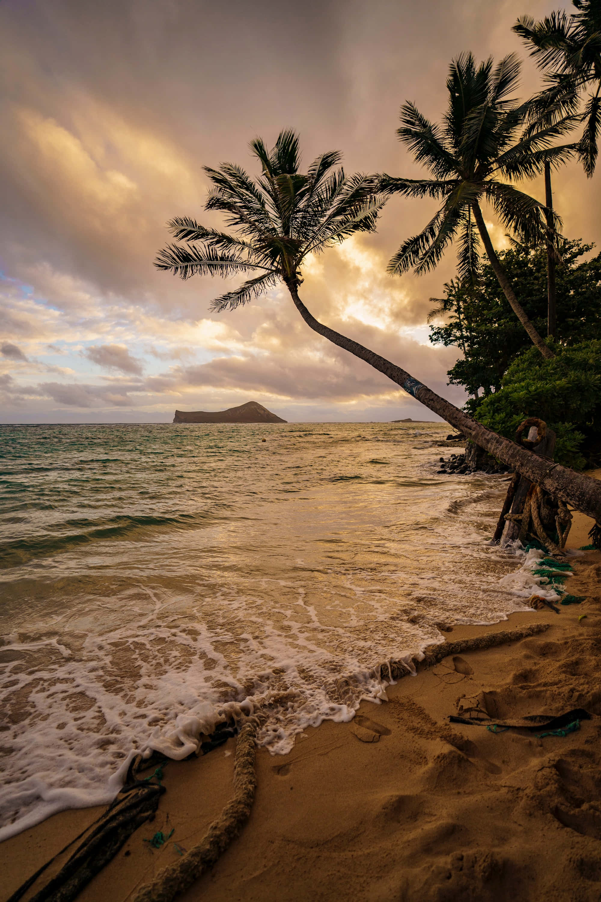 tropical beach, sunset, palm trees, 2K Phone Wallpaper