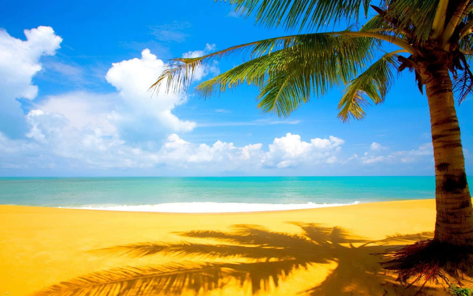 Palm Tree Shadow Beach, golden sand, turquoise ocean, Full HD Desktop Wallpaper
