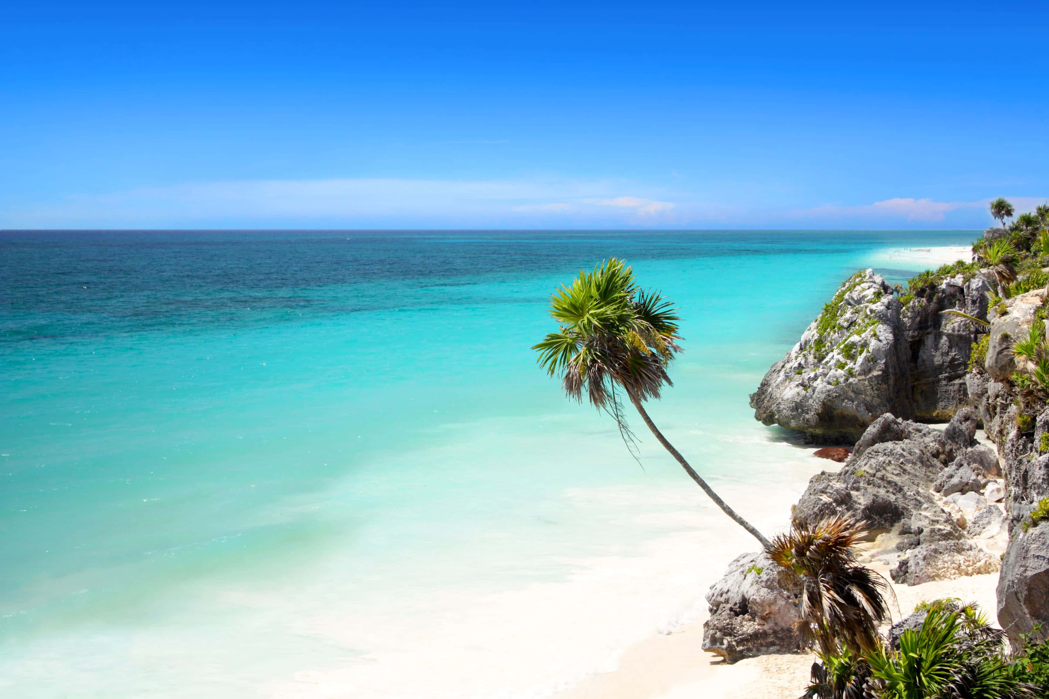 Tropical Beach Serenity, palm tree, white sand beach, 2K Desktop Wallpaper