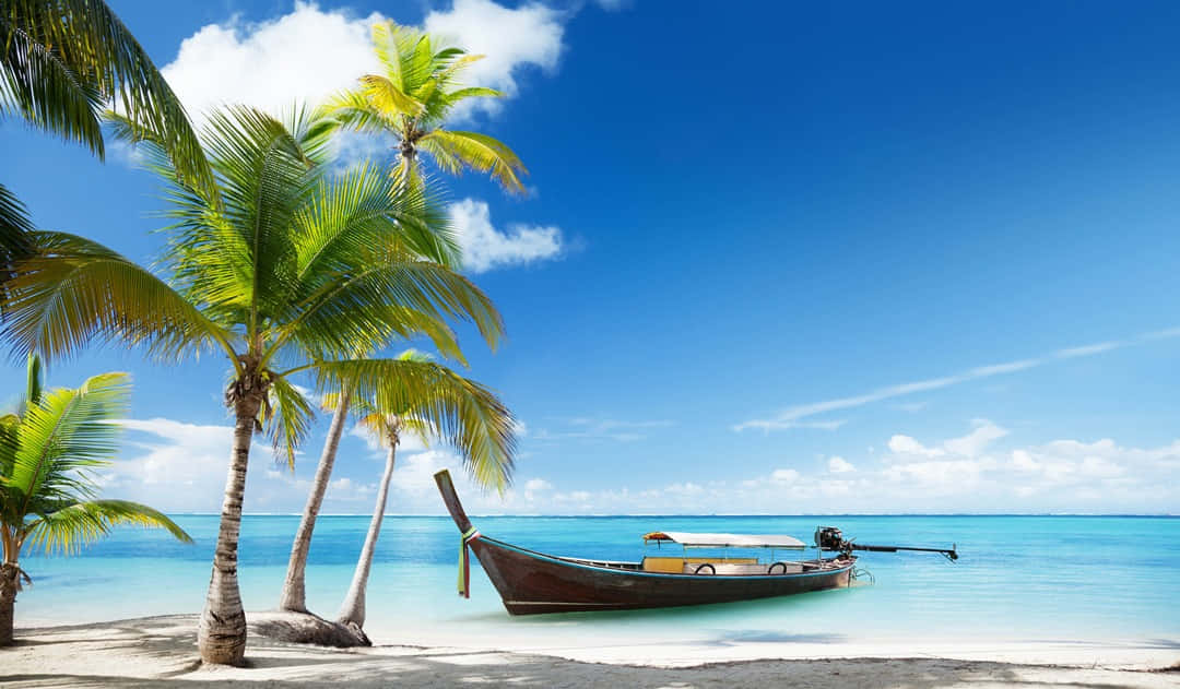 beach palm trees, longtail boat, pristine white sand beach, SD Desktop Wallpaper
