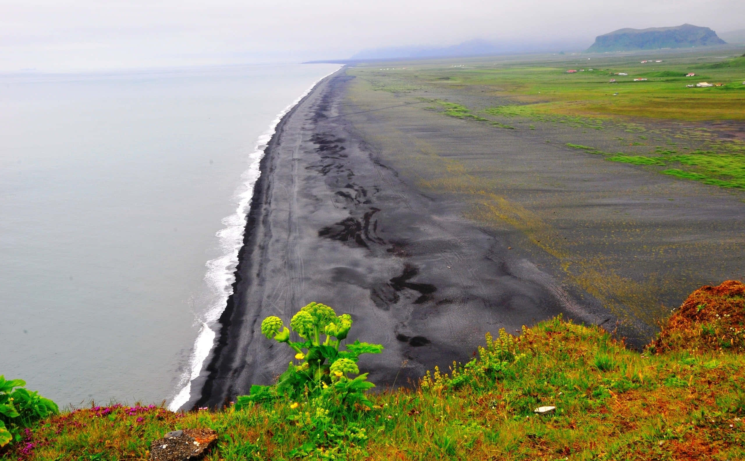black sand beach, misty coastline, vibrant green vegetation, 2K Desktop Wallpaper