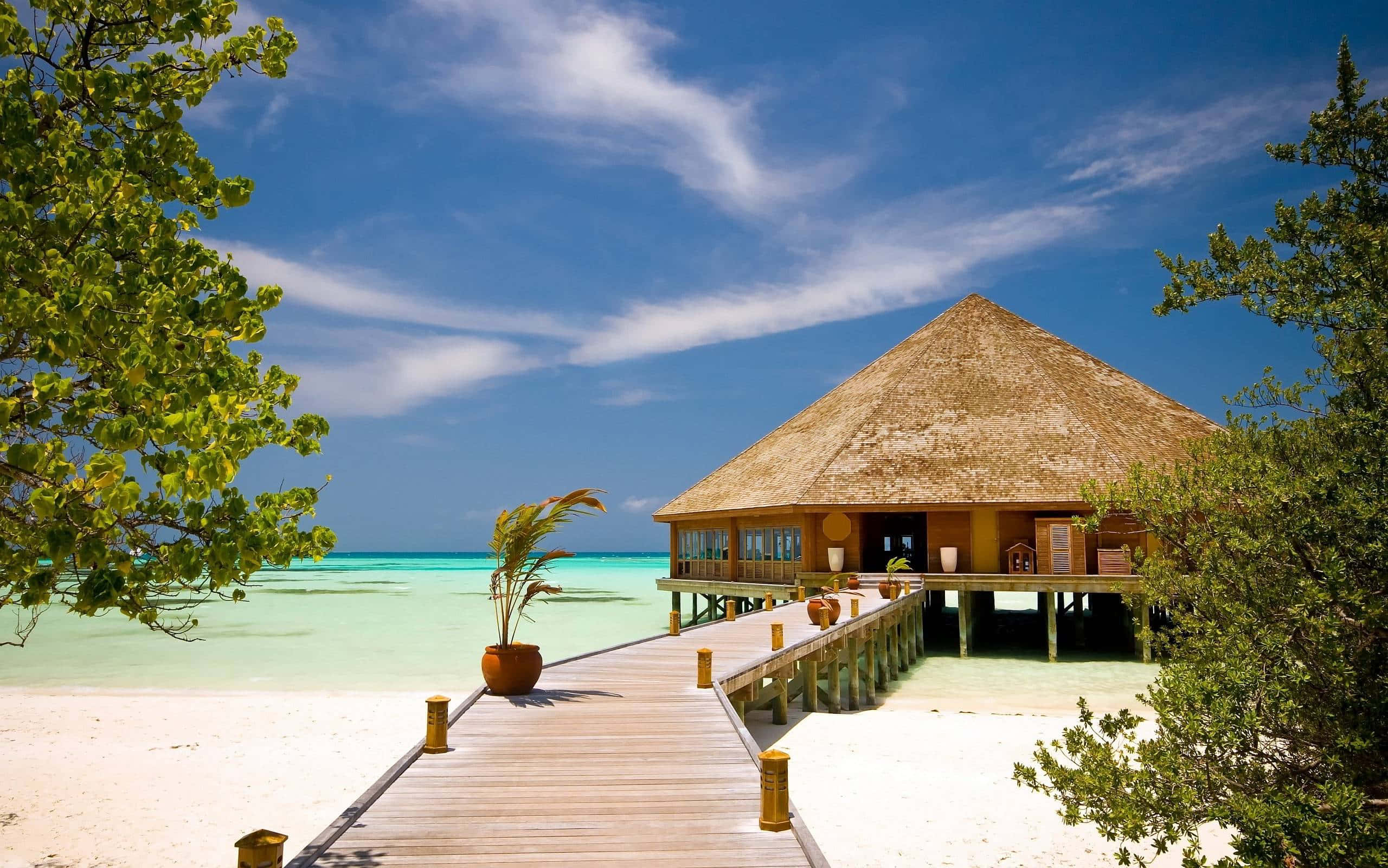 Beach Resort, wooden boardwalk, thatched-roof overwater bungalow, 2K Desktop Wallpaper