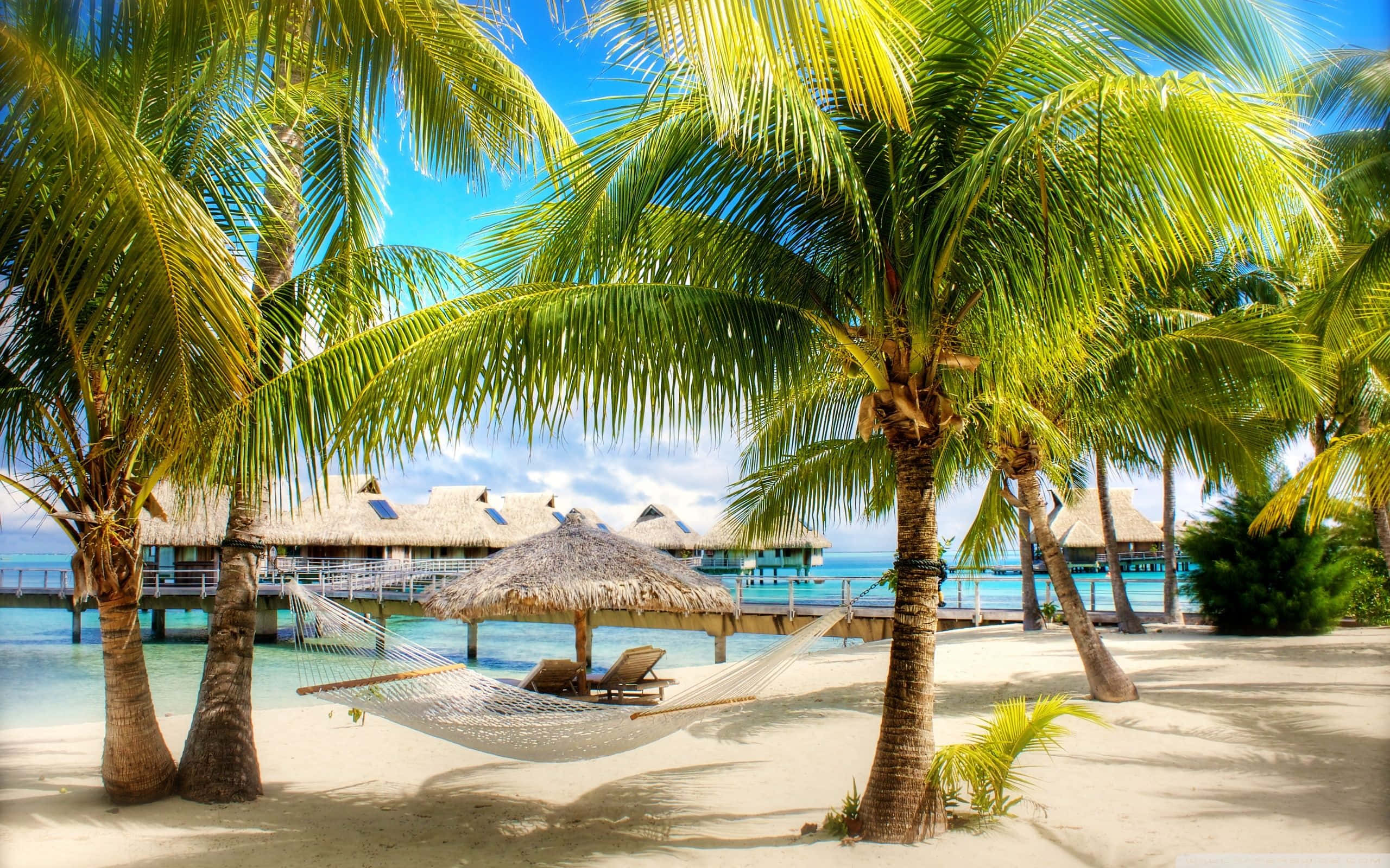 Tropical Beach Resort, hammock, palm trees, 2K Desktop Wallpaper