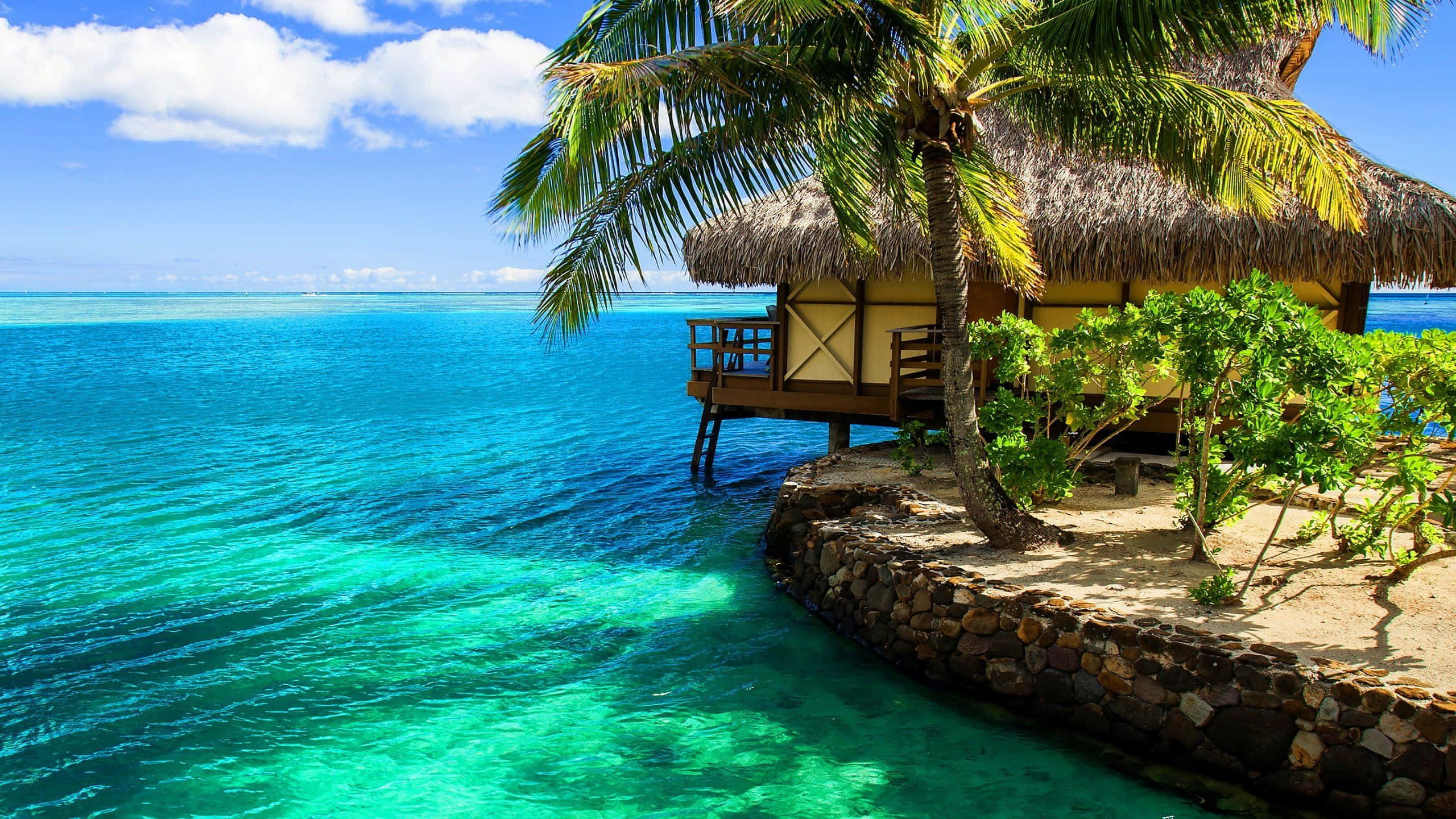 Beach Resort, thatched-roof overwater bungalow, tropical island, 2K Desktop Wallpaper