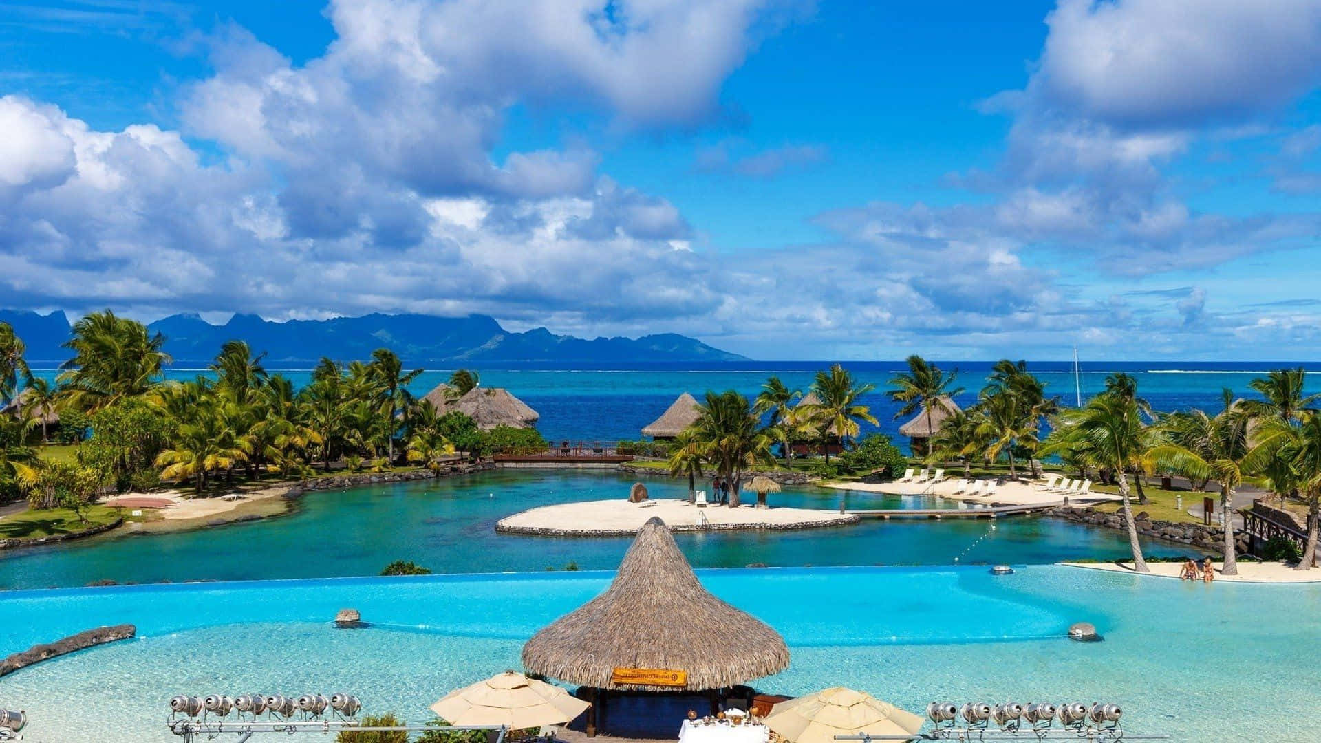 Beach Resort, infinity pools, palm trees, Full HD Desktop Wallpaper