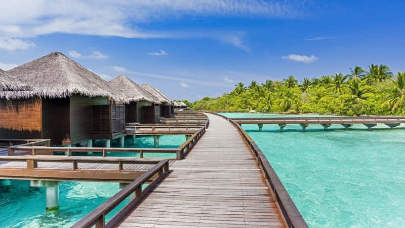 wooden boardwalk, turquoise waters, thatched-roof overwater bungalows, SD Desktop Wallpaper