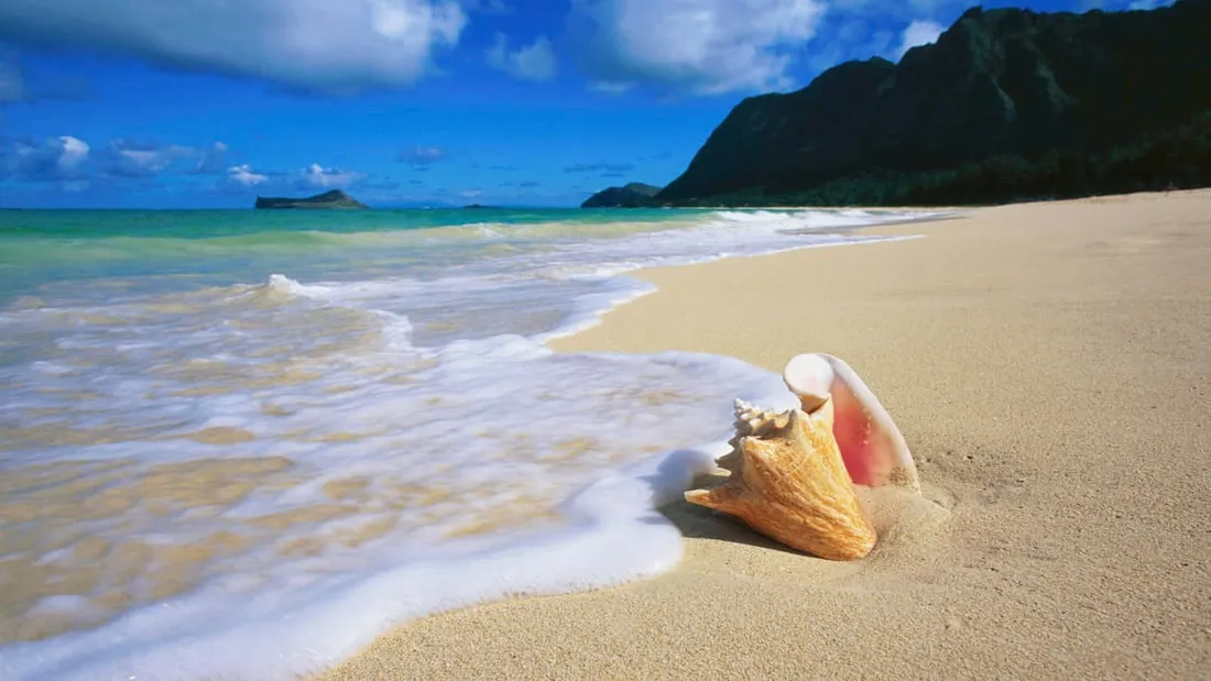 Beach Sand