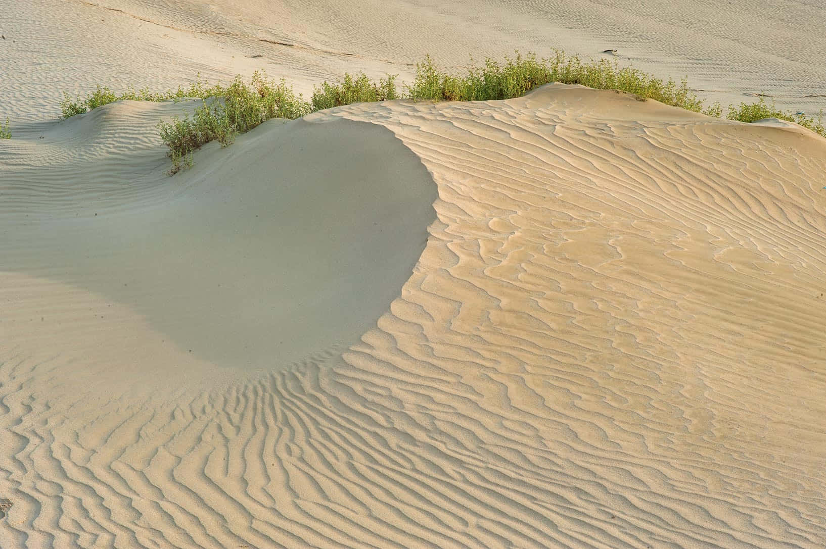 beach sand, golden sand, sunlit sand dunes, HD Desktop Wallpaper