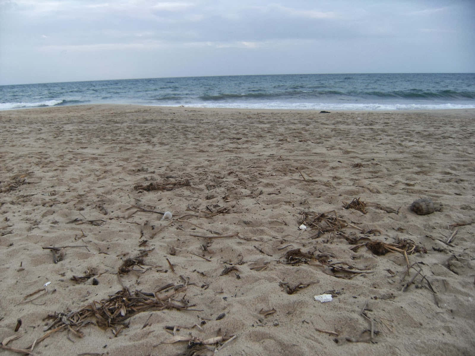 Beach Sand, sandy beach, driftwood, HD Desktop Wallpaper