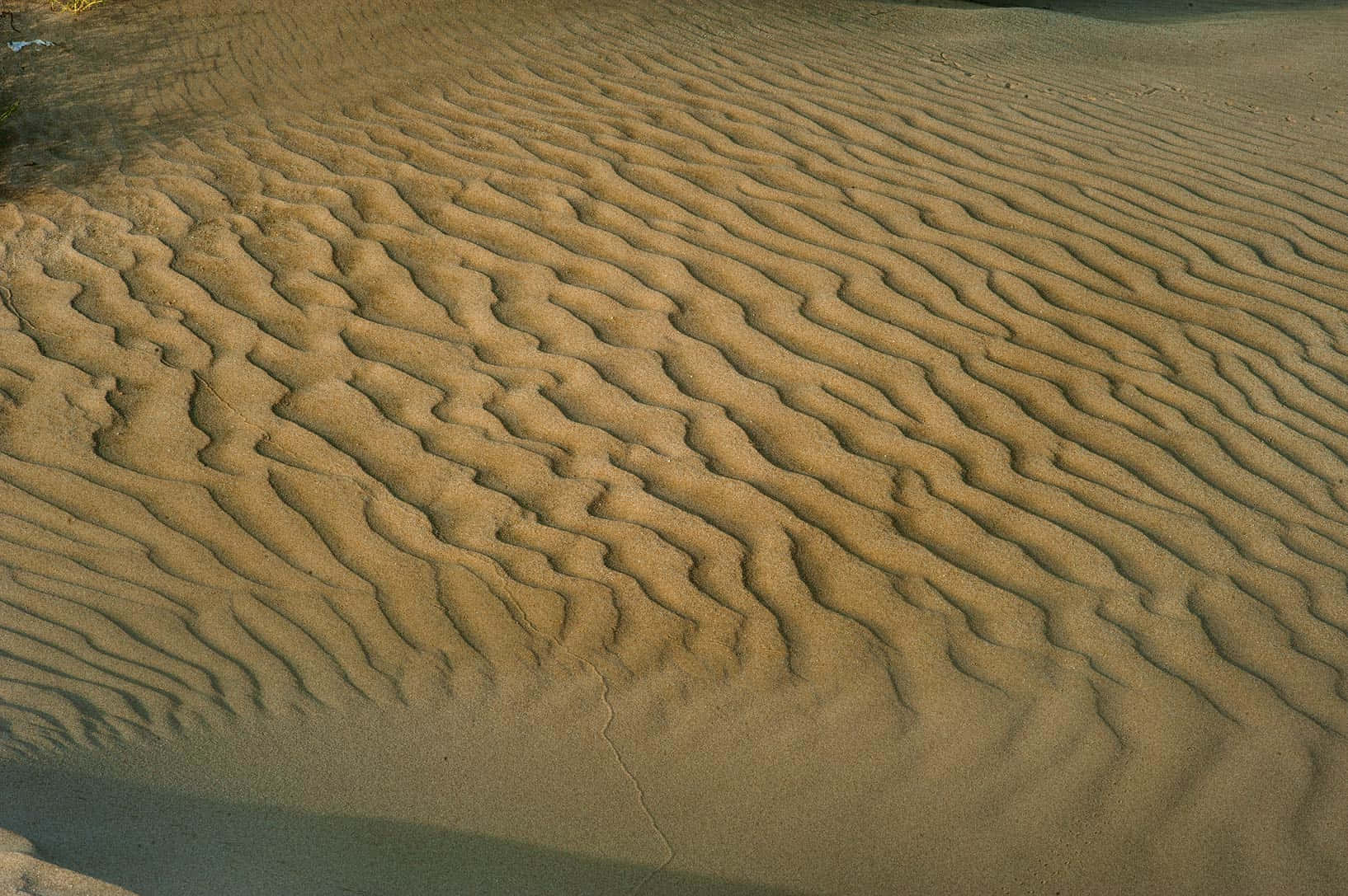 Beach Sand, golden sand dunes, wavy ripples, HD Desktop Wallpaper