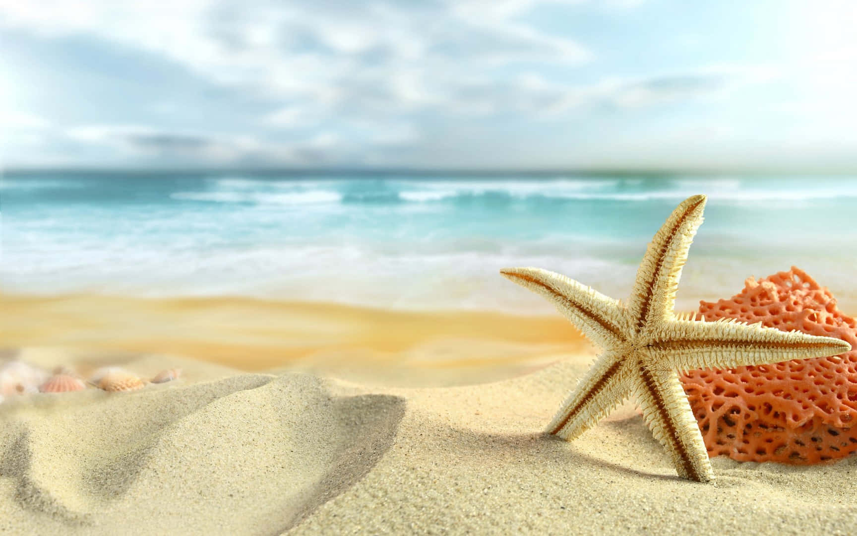 beach sand, golden sand, orange sponge, HD Desktop Wallpaper