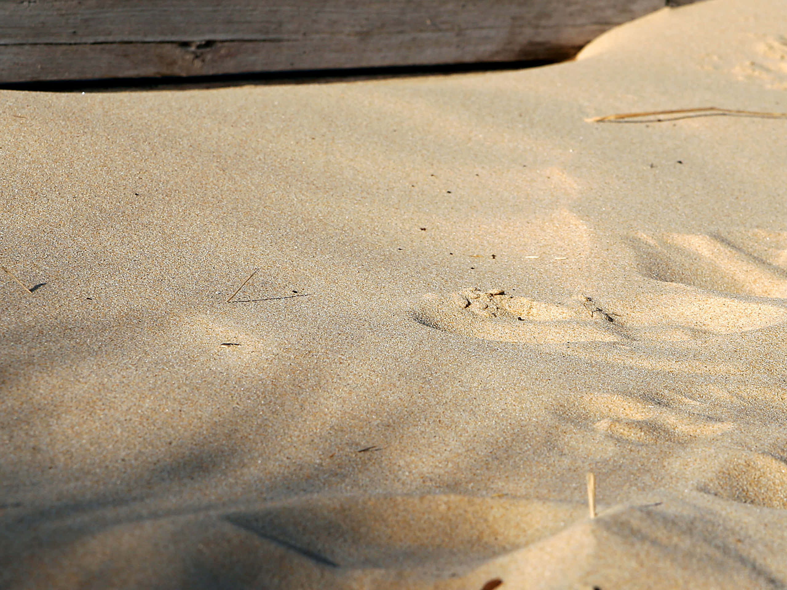 Beach Sand, sunlit sand dunes, warm light, 2K Desktop Wallpaper