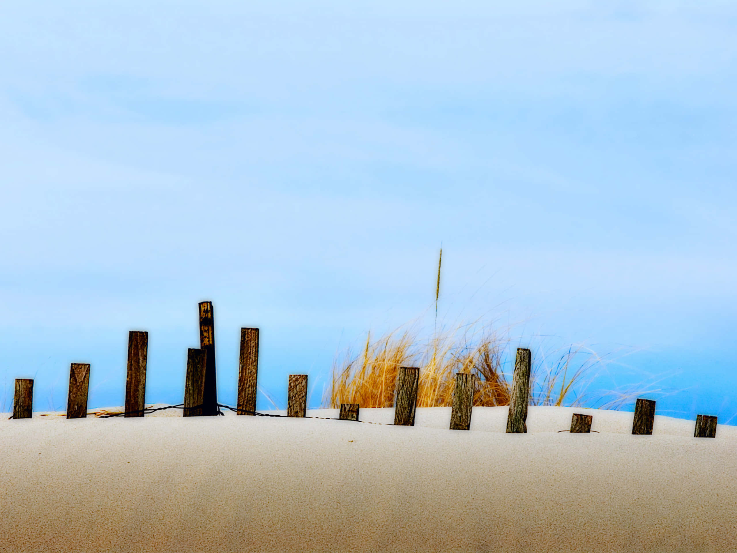 beach sand, golden beach grass, weathered wooden posts, 2K Desktop Wallpaper