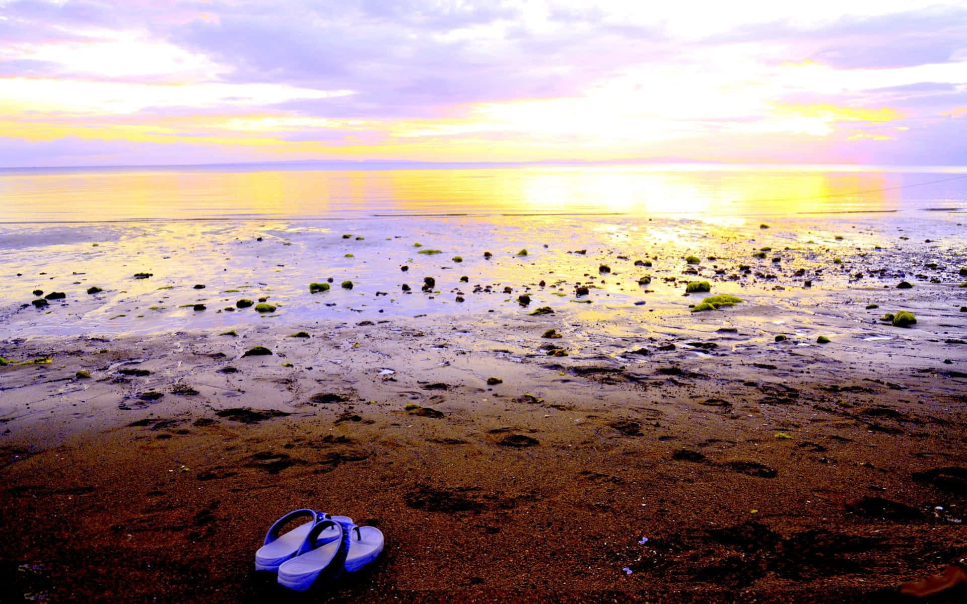 blue flip flops, wet sandy beach, sunset, Full HD Desktop Wallpaper