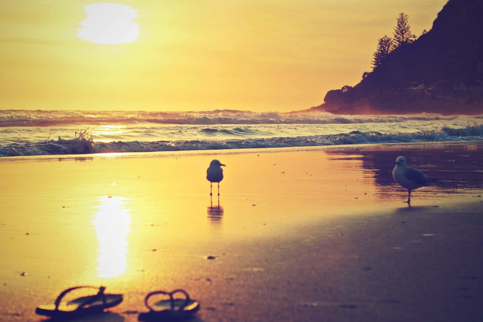 beach sandals, golden sunset, ocean waves, HD Desktop Wallpaper