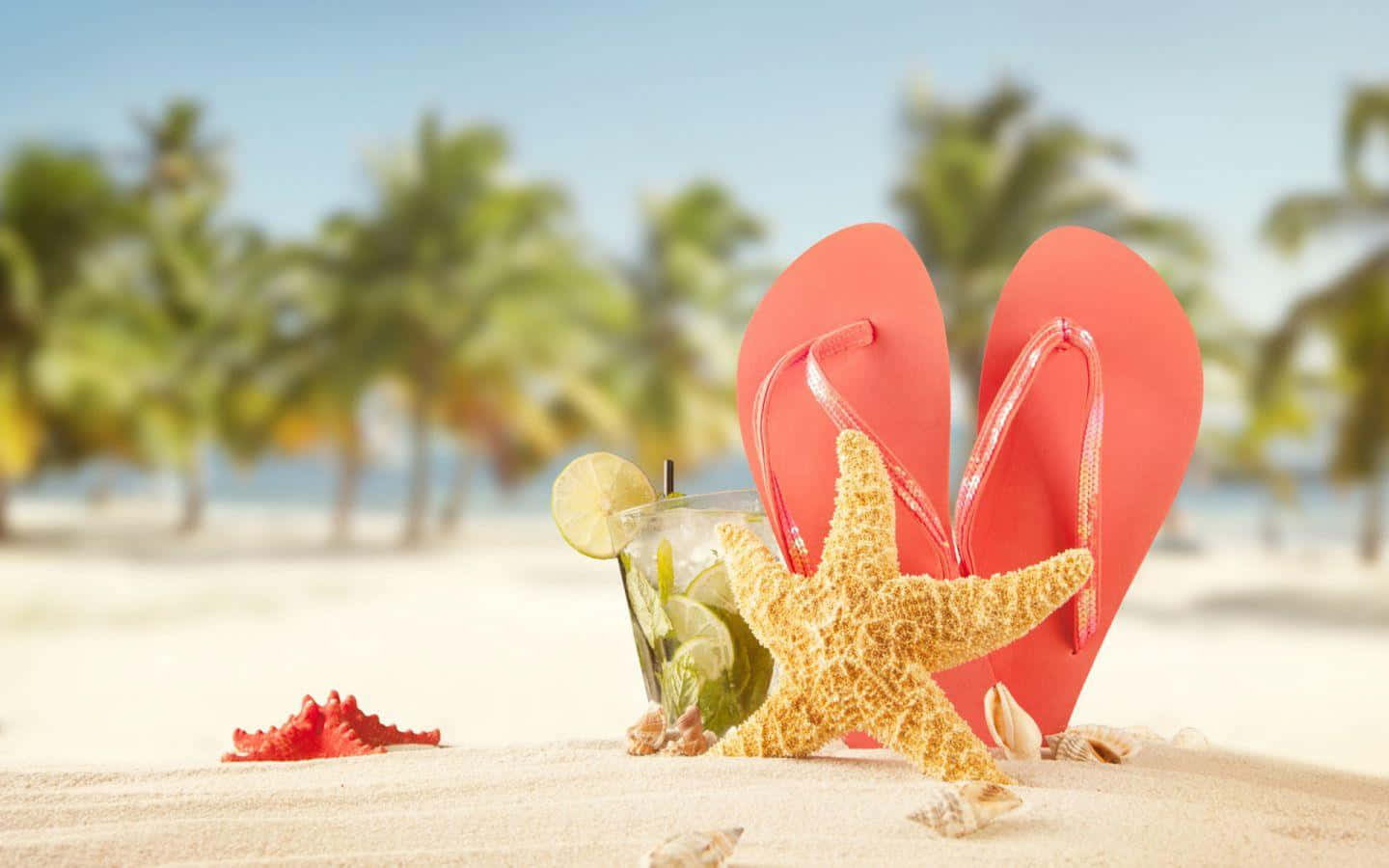 beach sandals, red flip flops, starfish, HD Desktop Wallpaper