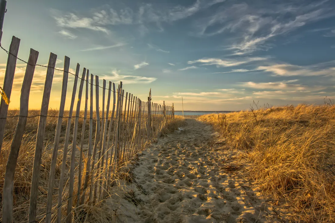 Beach Scene