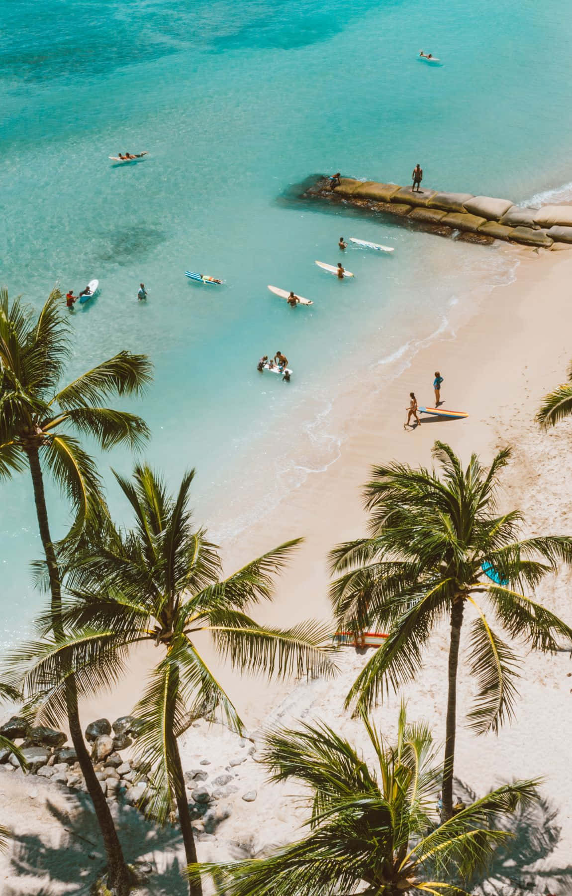 tropical beach scene, coconut trees, surfers, HD Phone Wallpaper