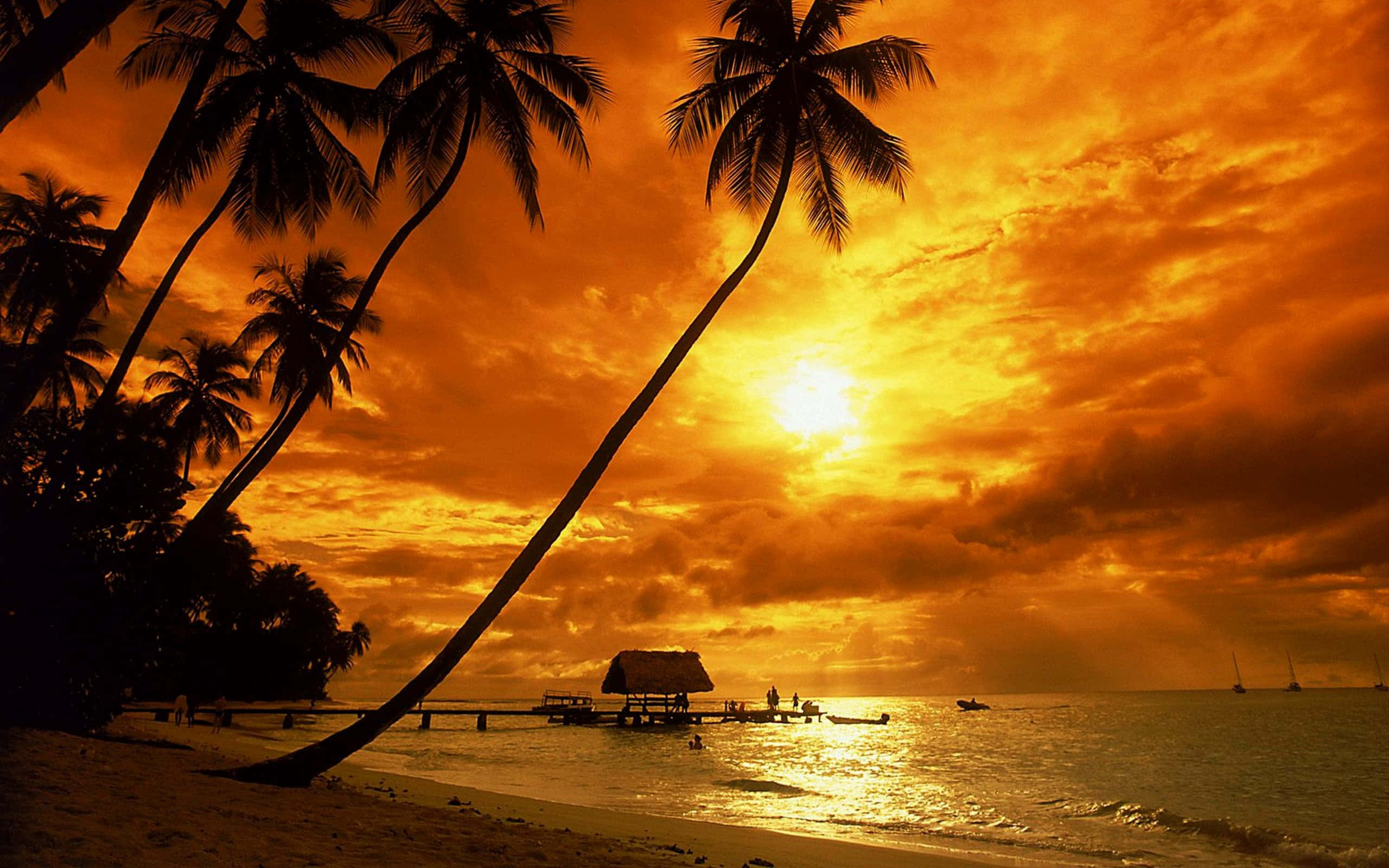 Beach sunset, fiery orange sunset, tranquil tropical beach, 2K Desktop Wallpaper